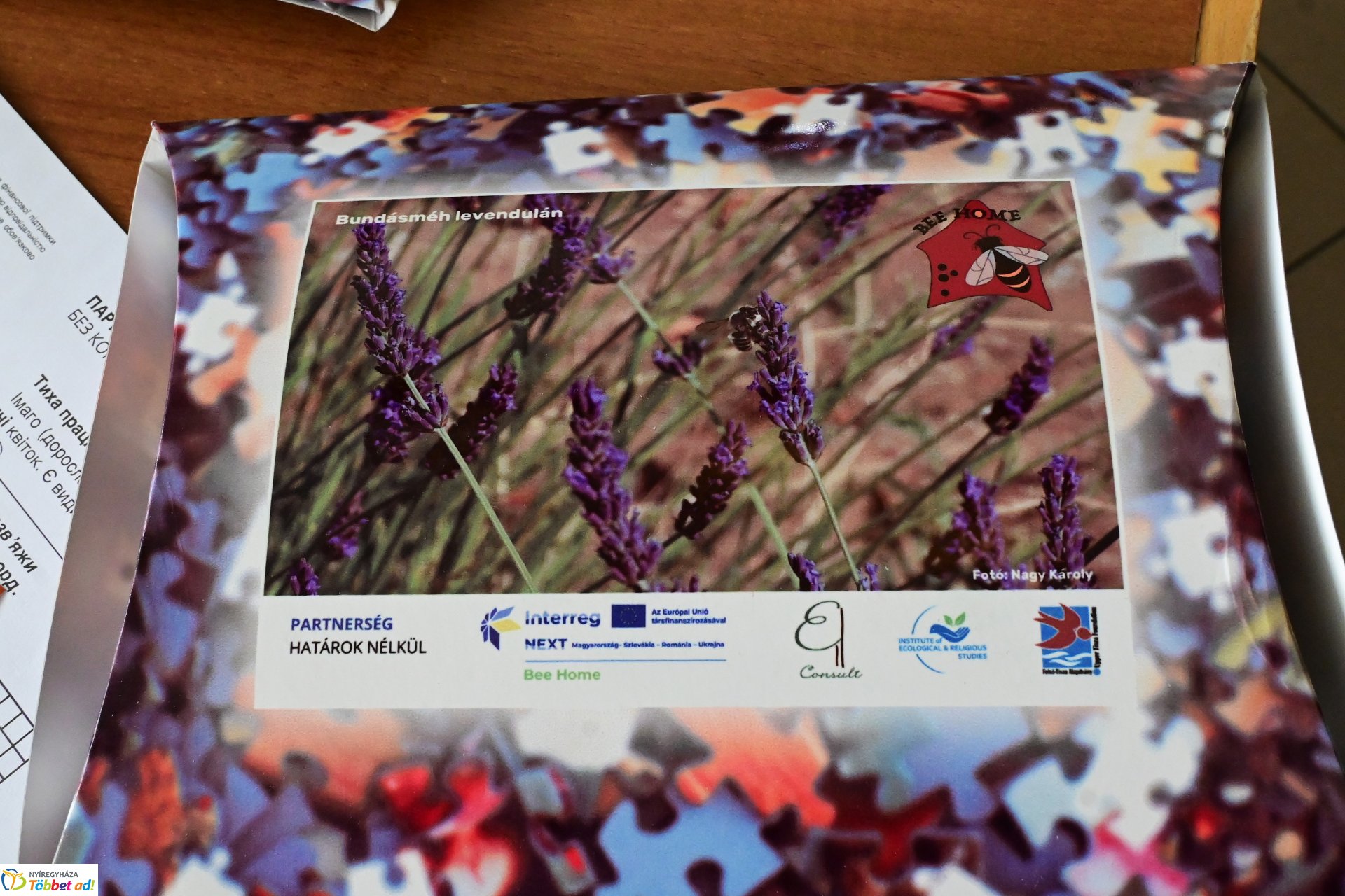 BEE HOME  projektzáró rendezvény