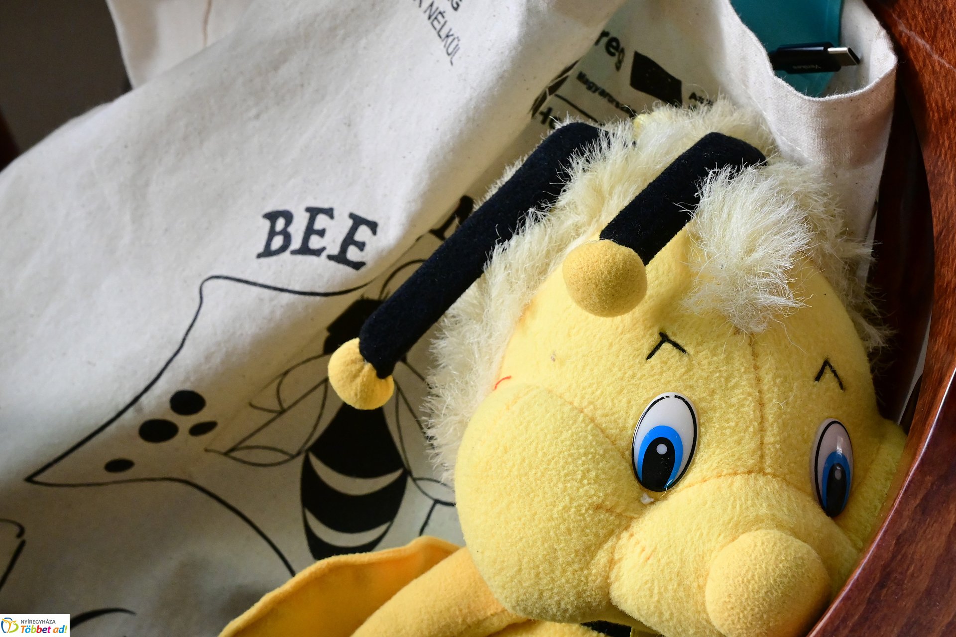 BEE HOME  projektzáró rendezvény