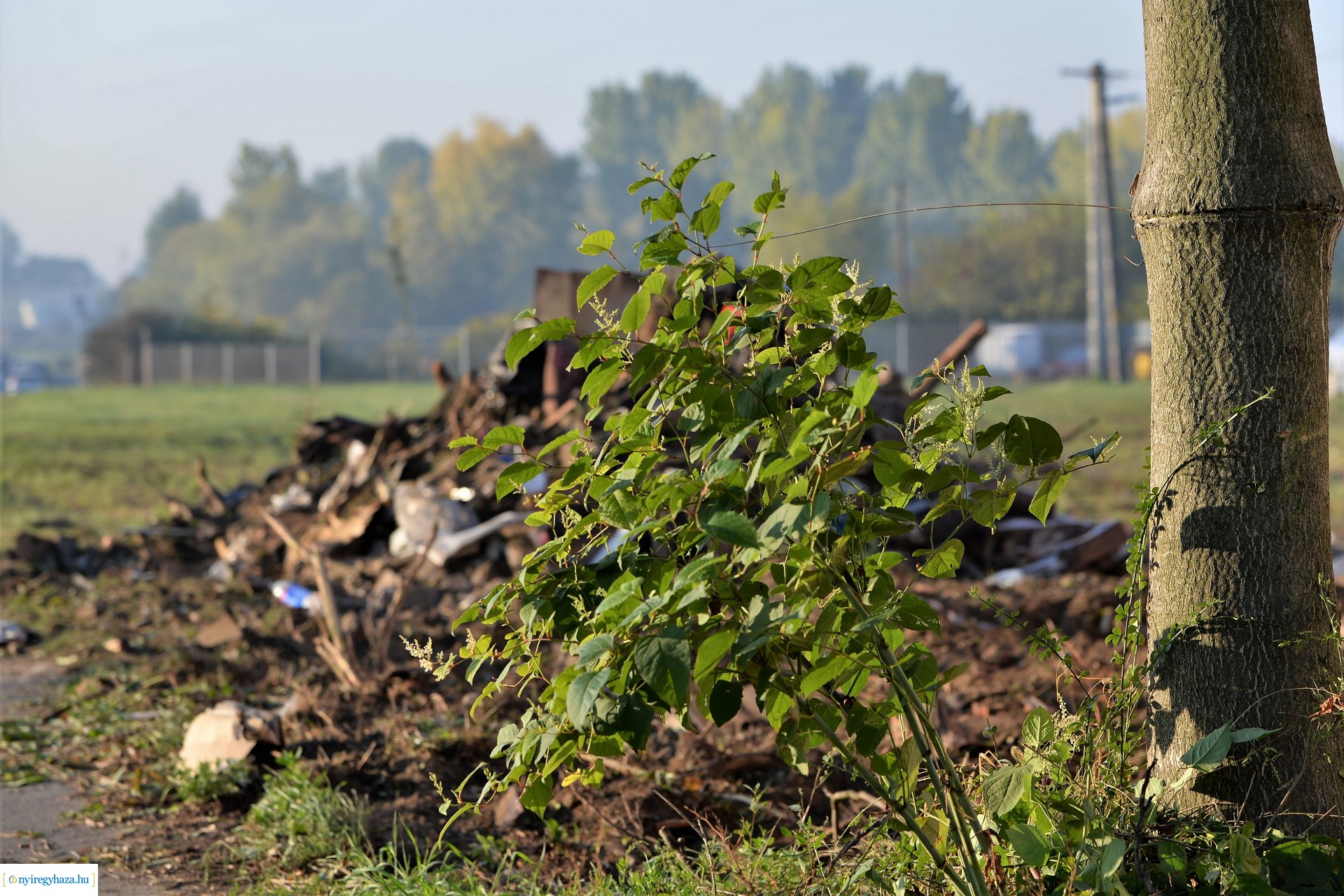 Befejeződött a Keleti lakótelep régi épületeinek elbontása