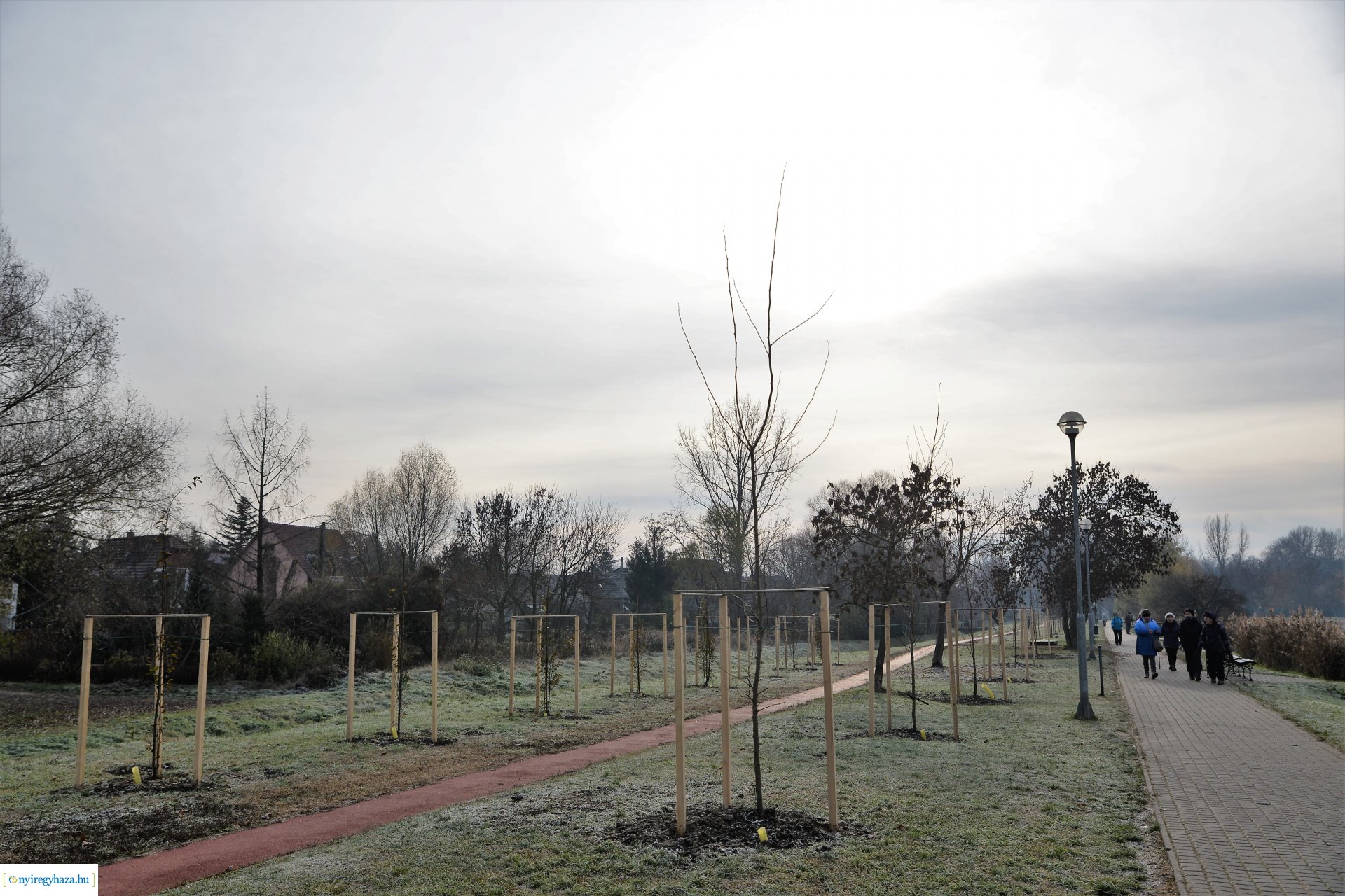 Befejeződött az ősz fásítási program
