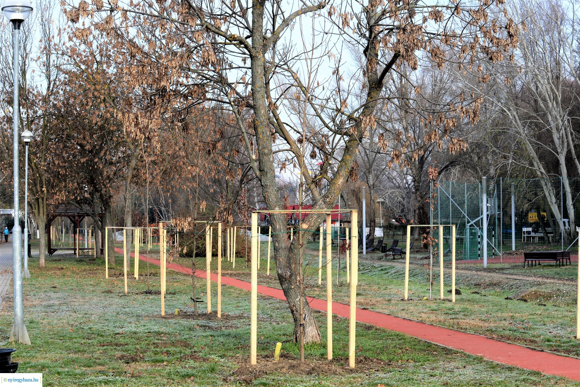 Befejeződött az ősz fásítási program