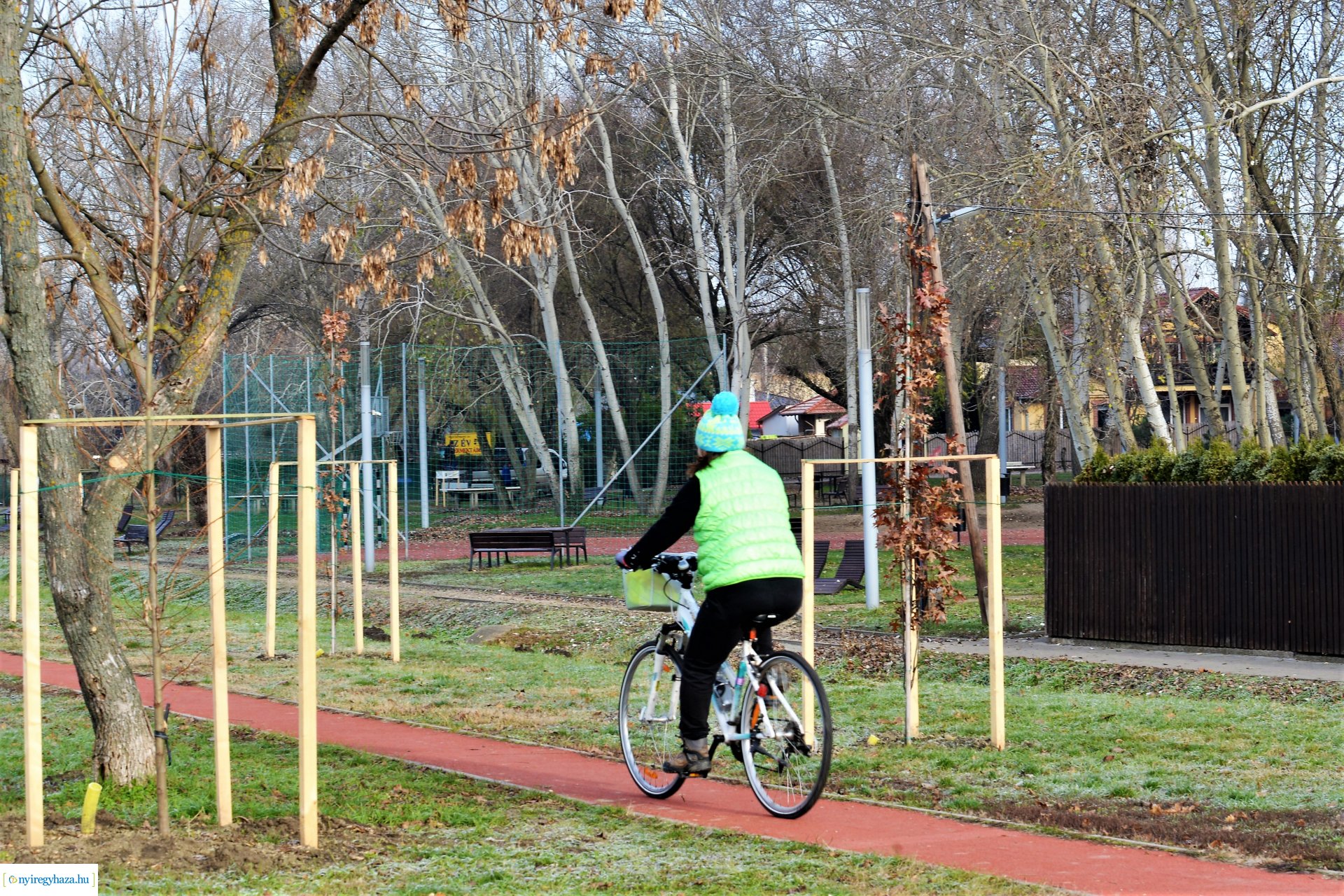 Befejeződött az ősz fásítási program