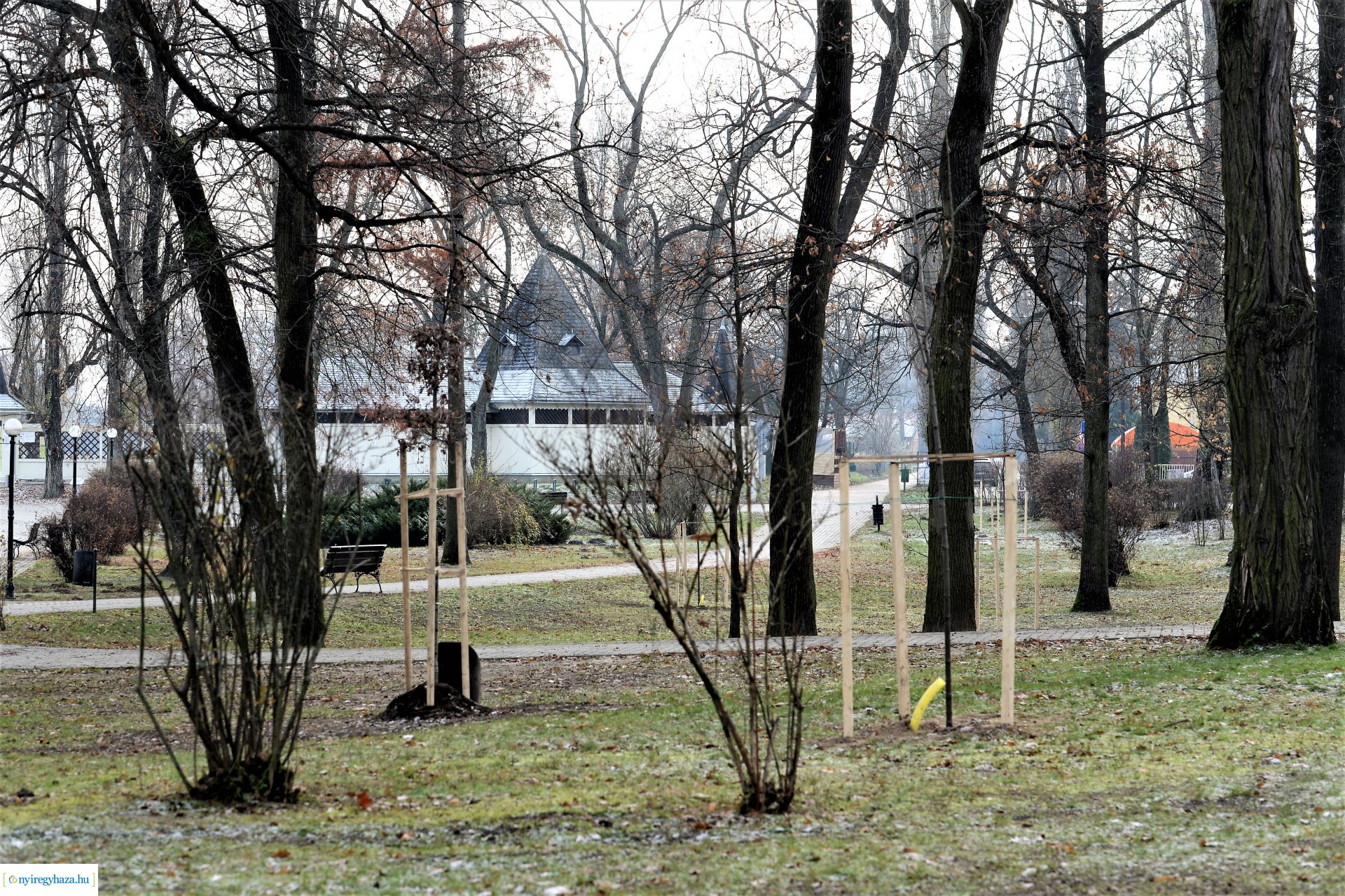 Befejeződött az ősz fásítási program