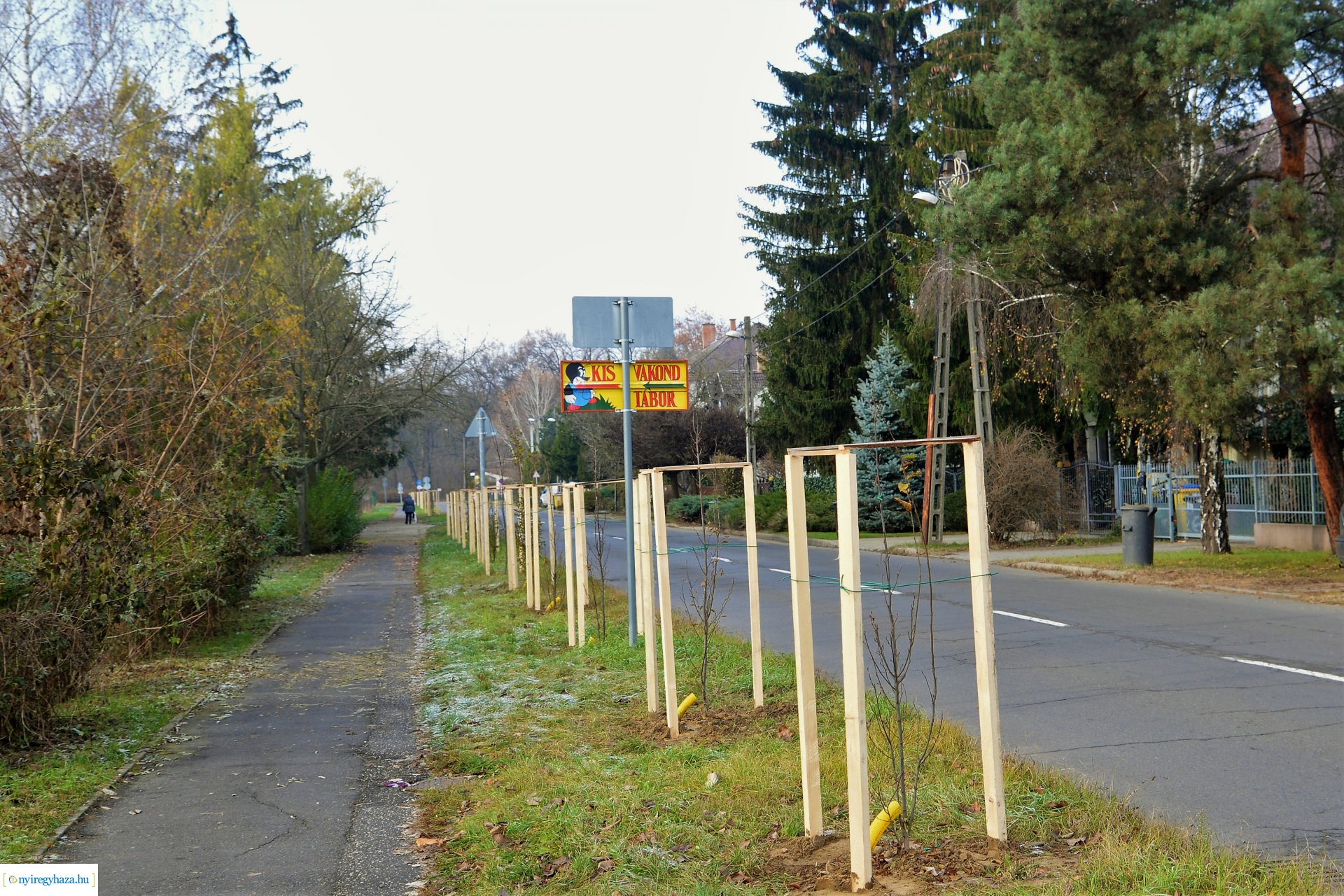 Befejeződött az ősz fásítási program
