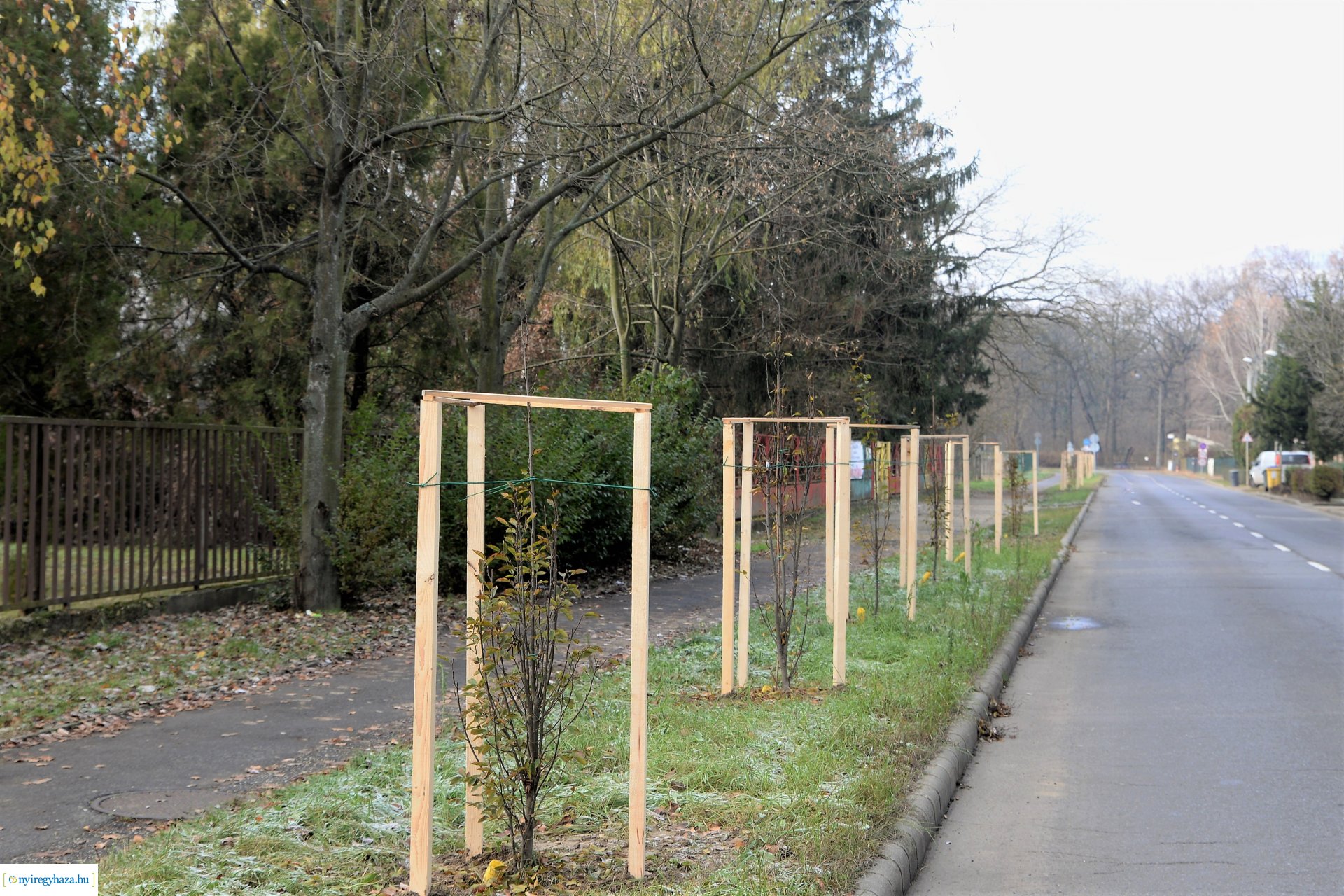 Befejeződött az ősz fásítási program