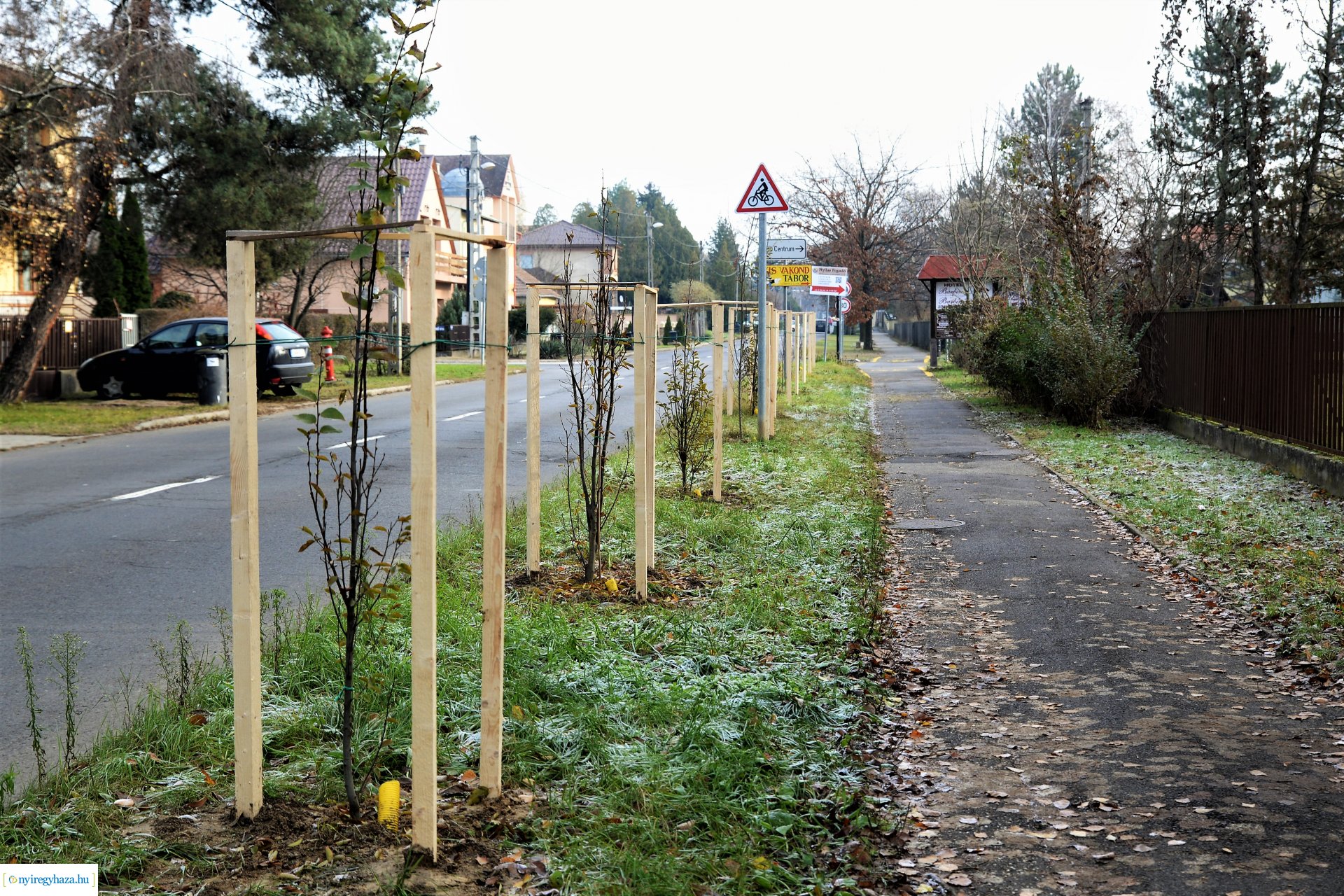 Befejeződött az ősz fásítási program