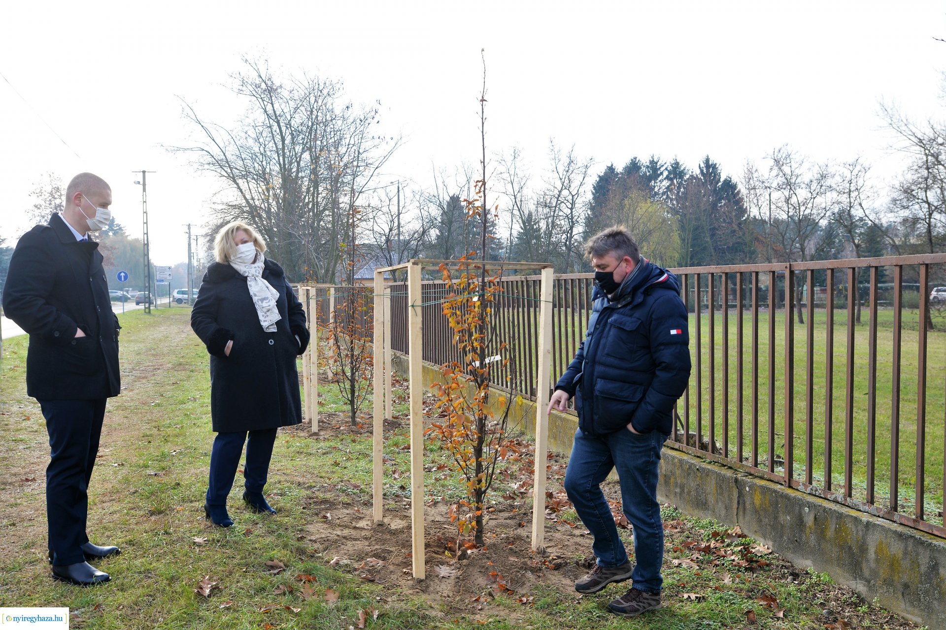 Befejeződött az ősz fásítási program