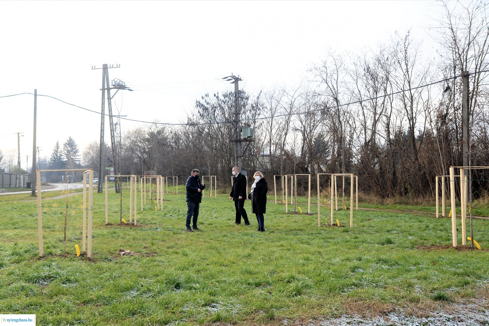 Befejeződött az ősz fásítási program