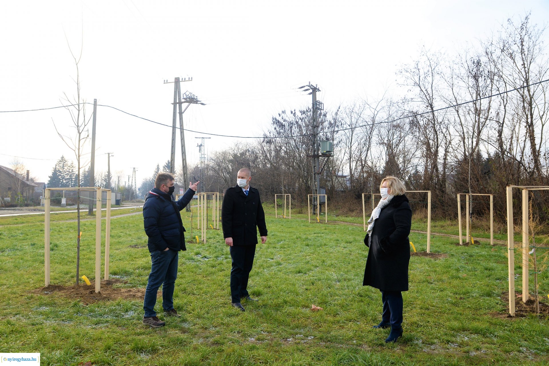 Befejeződött az ősz fásítási program