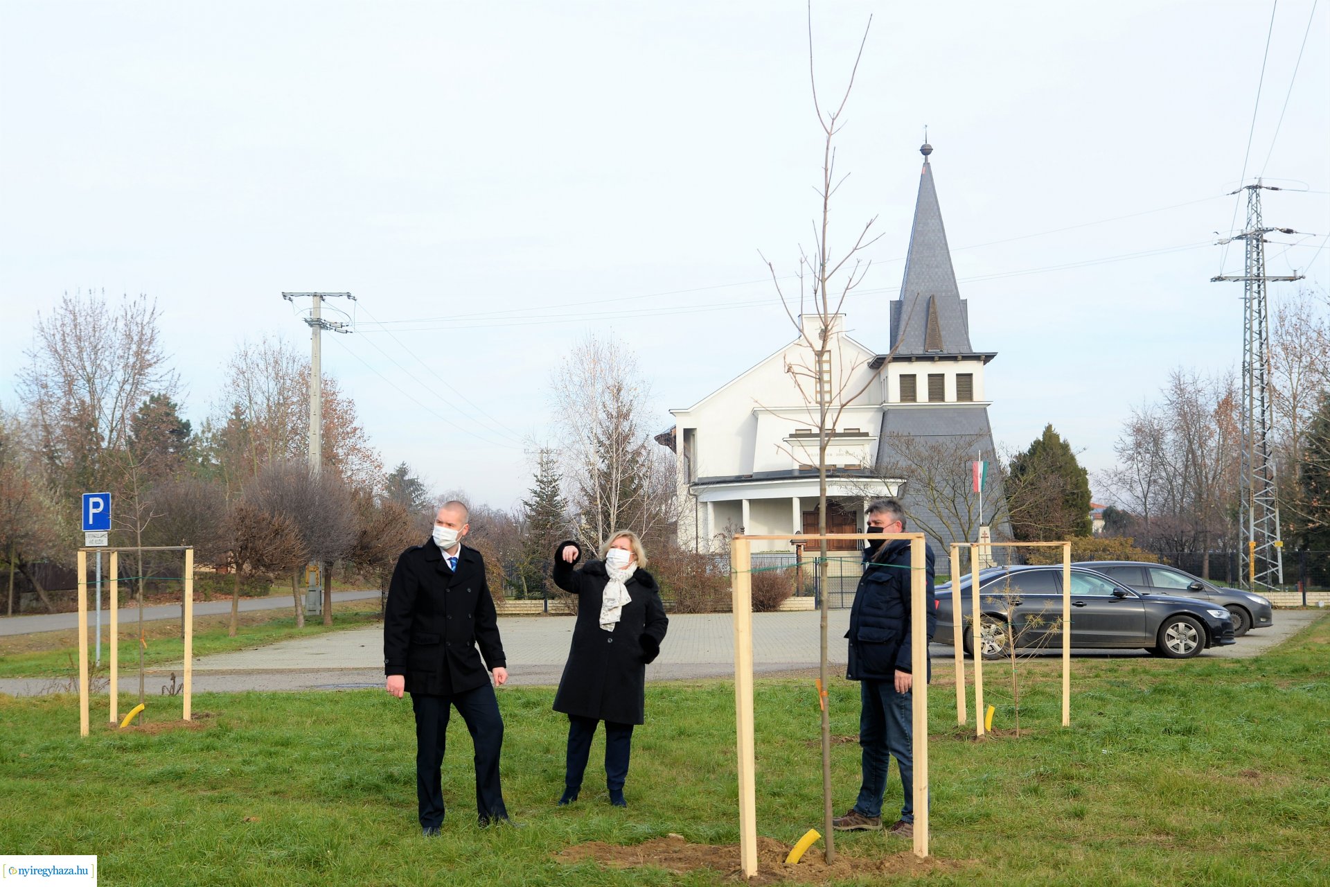 Befejeződött az ősz fásítási program