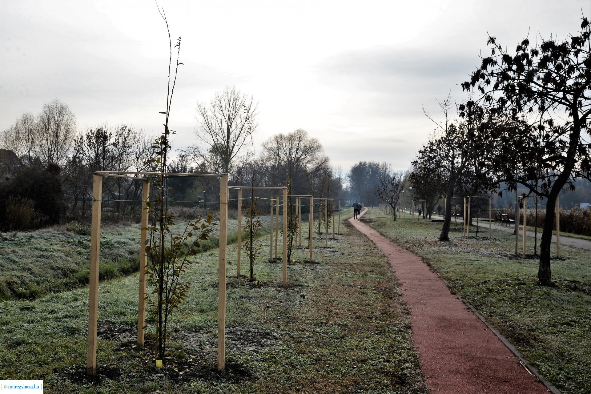Befejeződött az ősz fásítási program
