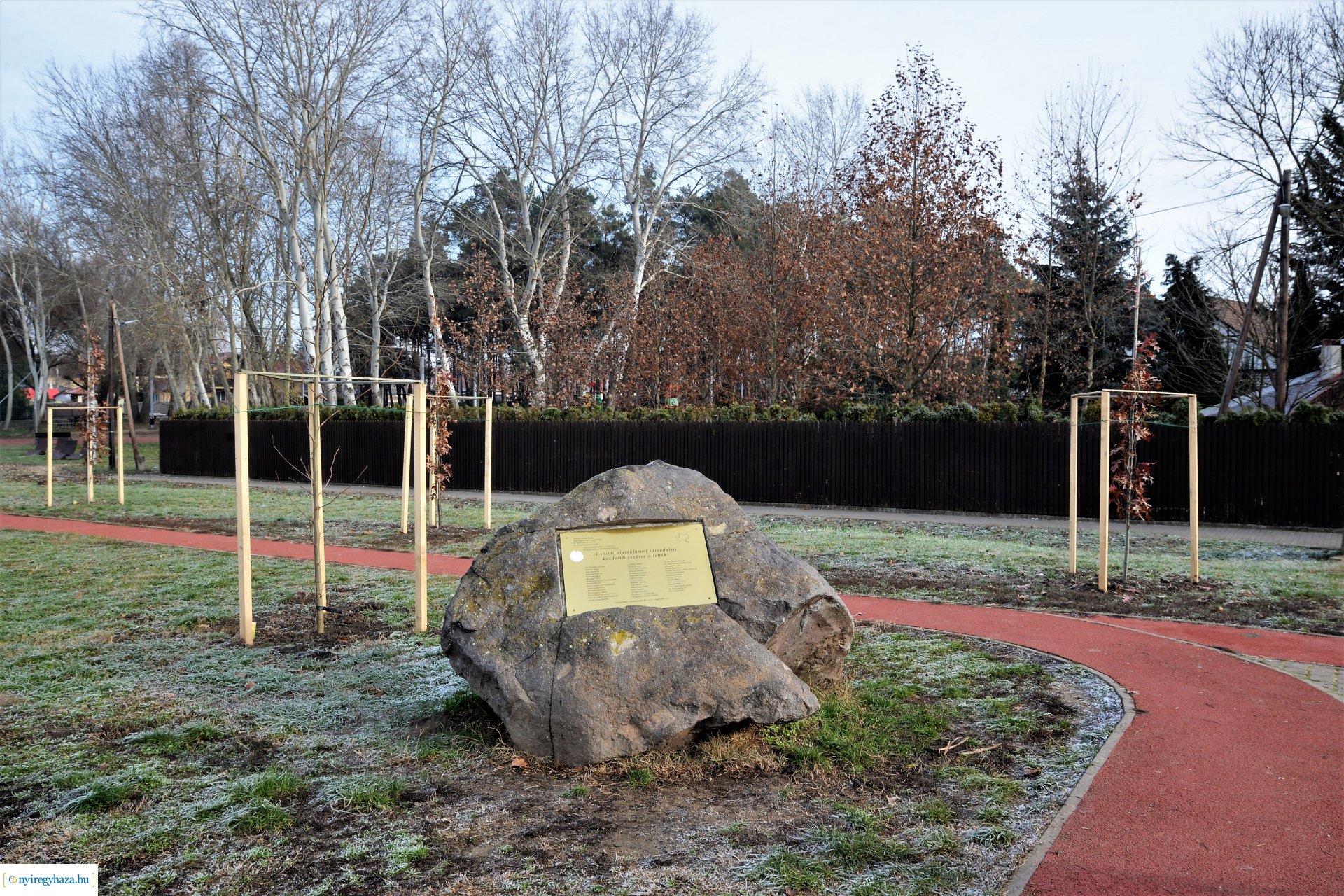 Befejeződött az ősz fásítási program