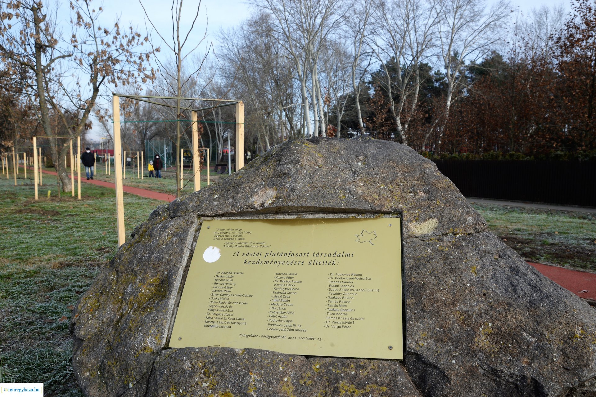 Befejeződött az ősz fásítási program