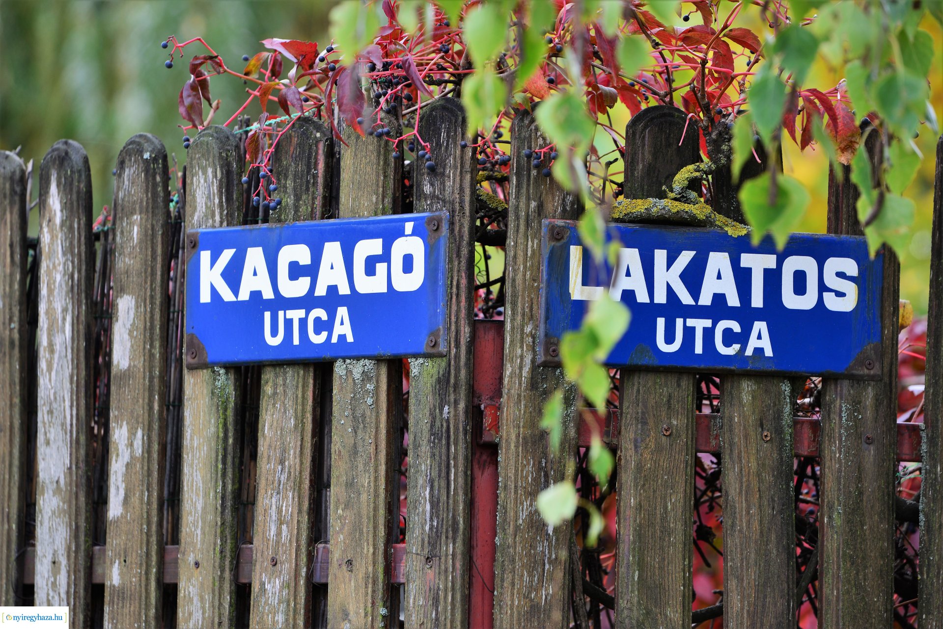 Bejárás a Kacagó utcán