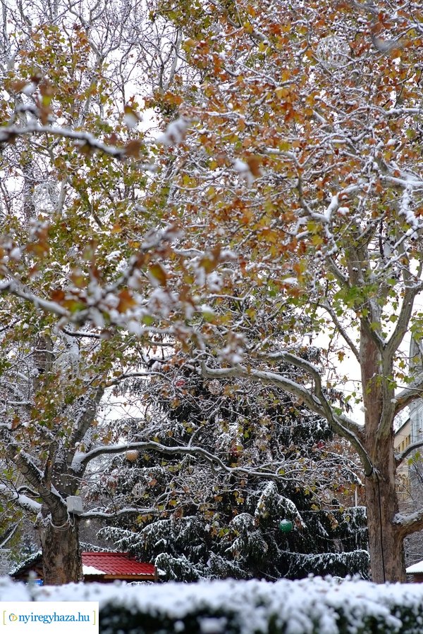 Beköszöntött az első hó - 20221212