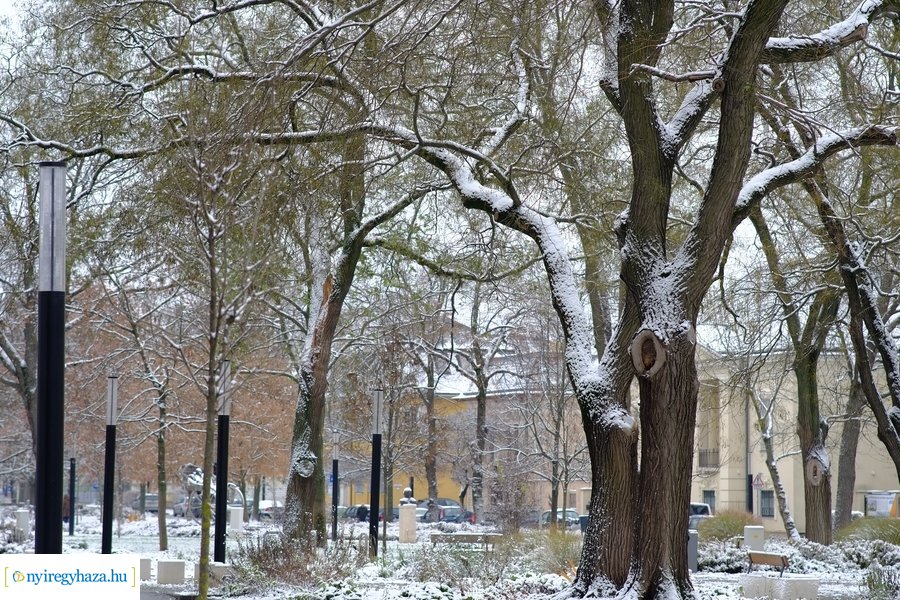 Beköszöntött az első hó - 20221212