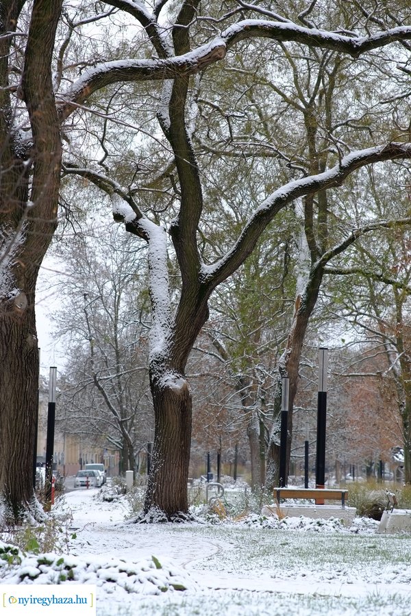 Beköszöntött az első hó - 20221212