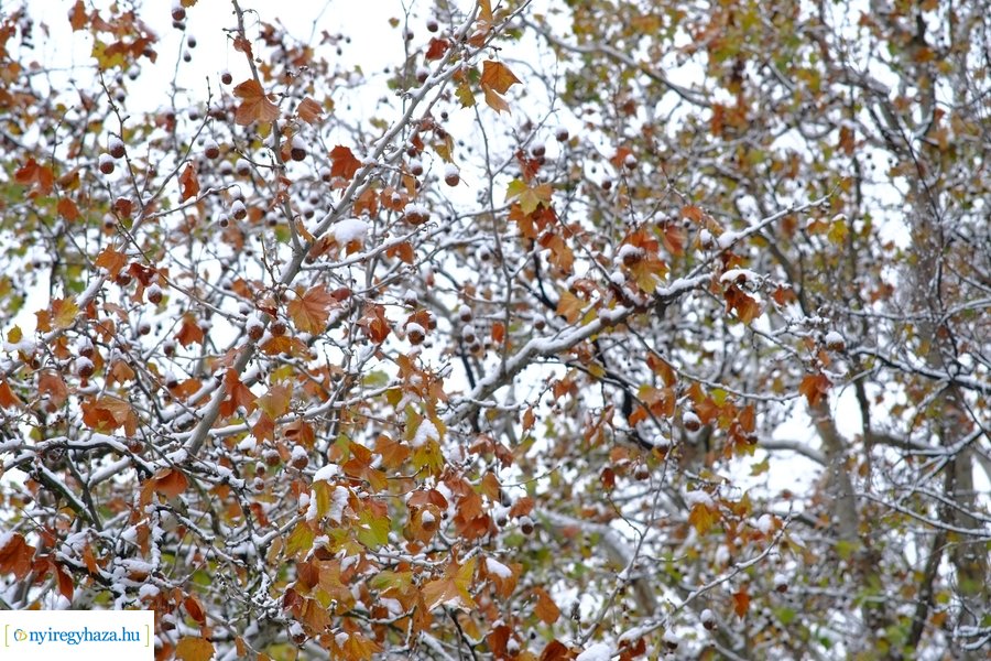 Beköszöntött az első hó - 20221212