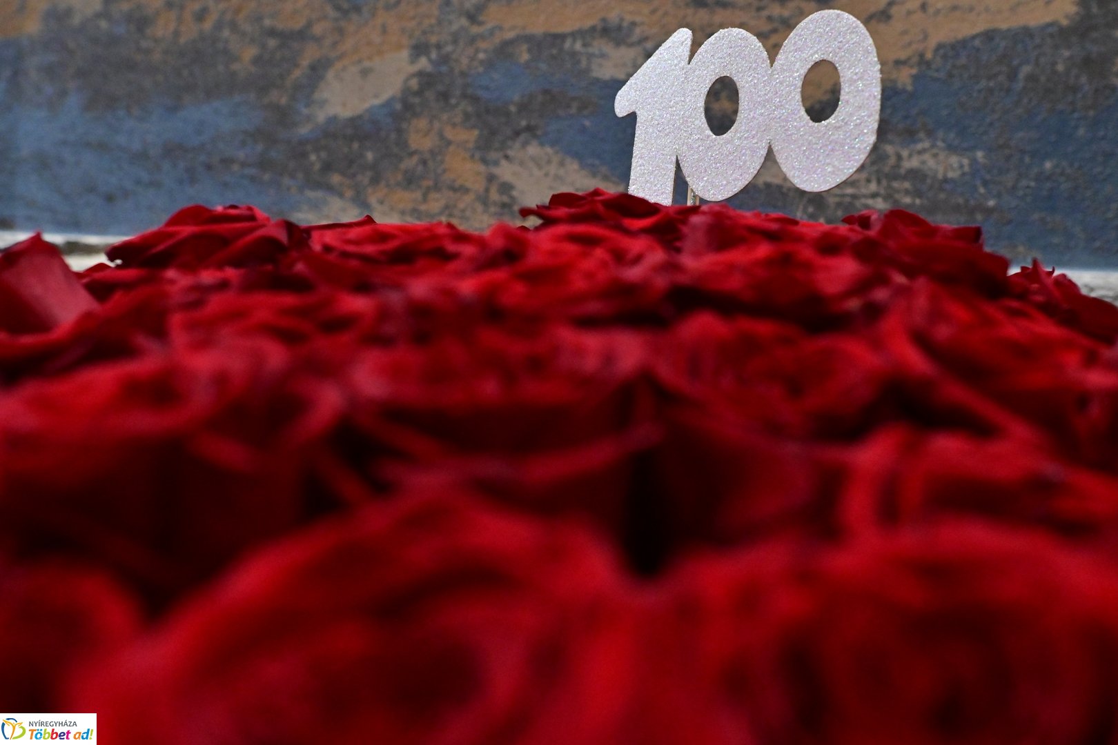 Belme Lászlóné Ilonka néni 100 éves