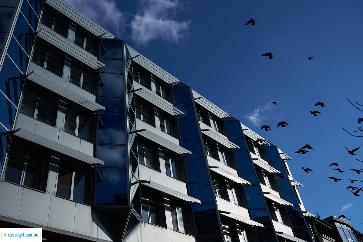 Belvárosi pillanatképek 20200202