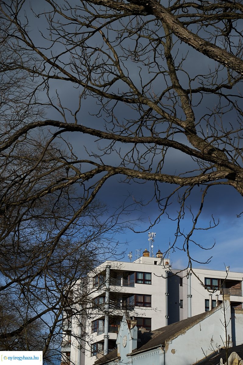 Belvárosi pillanatképek 20200202