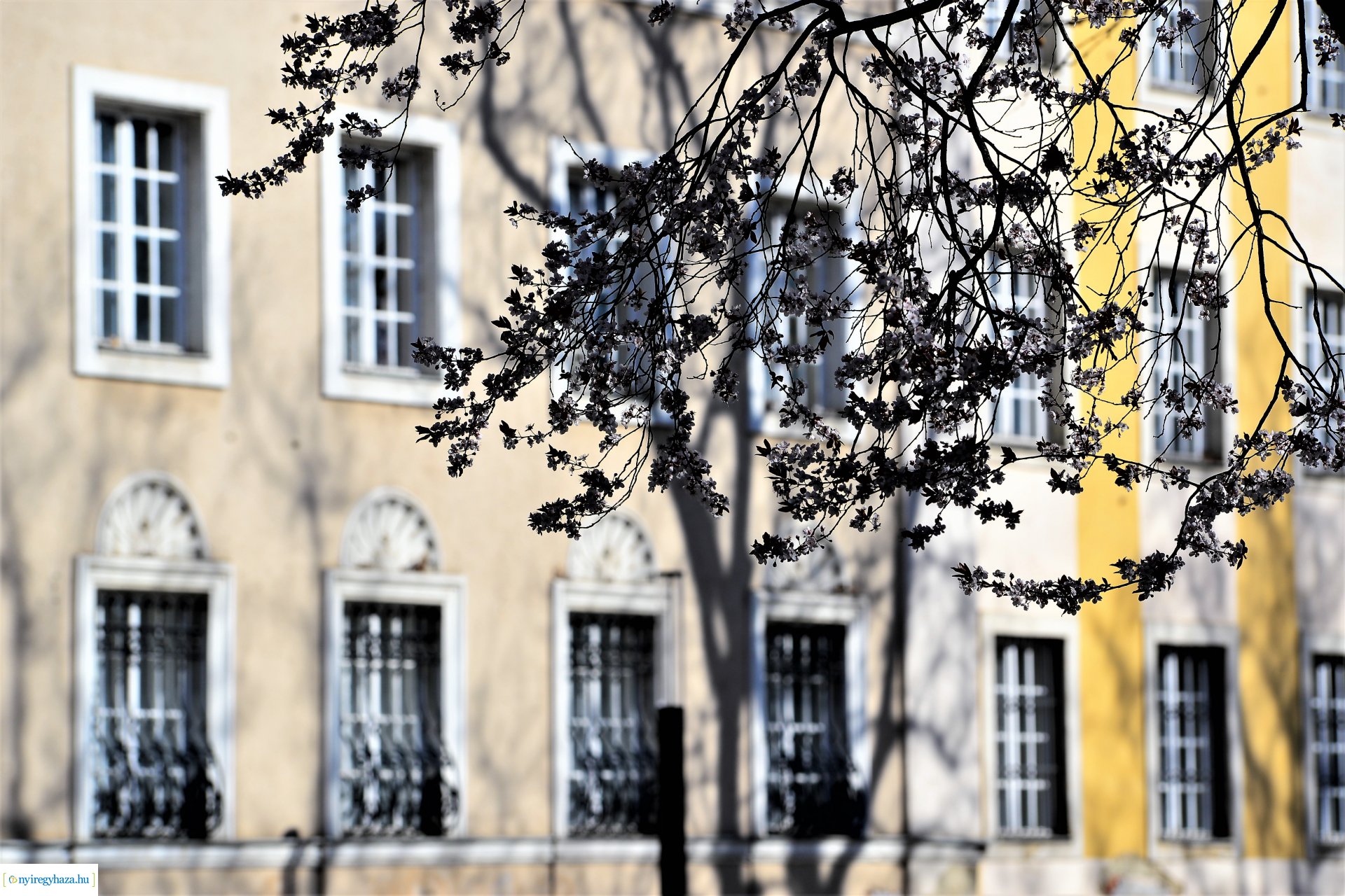 Belvárosi szombat délután