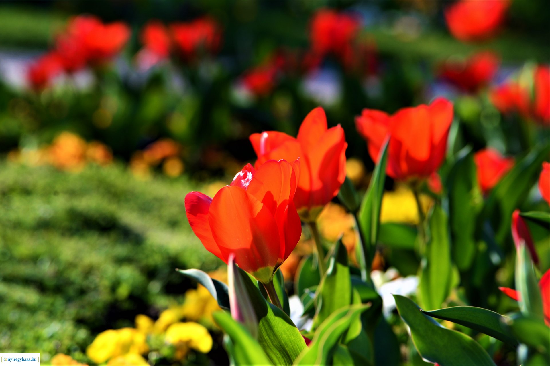 Belvárosi szombat délután