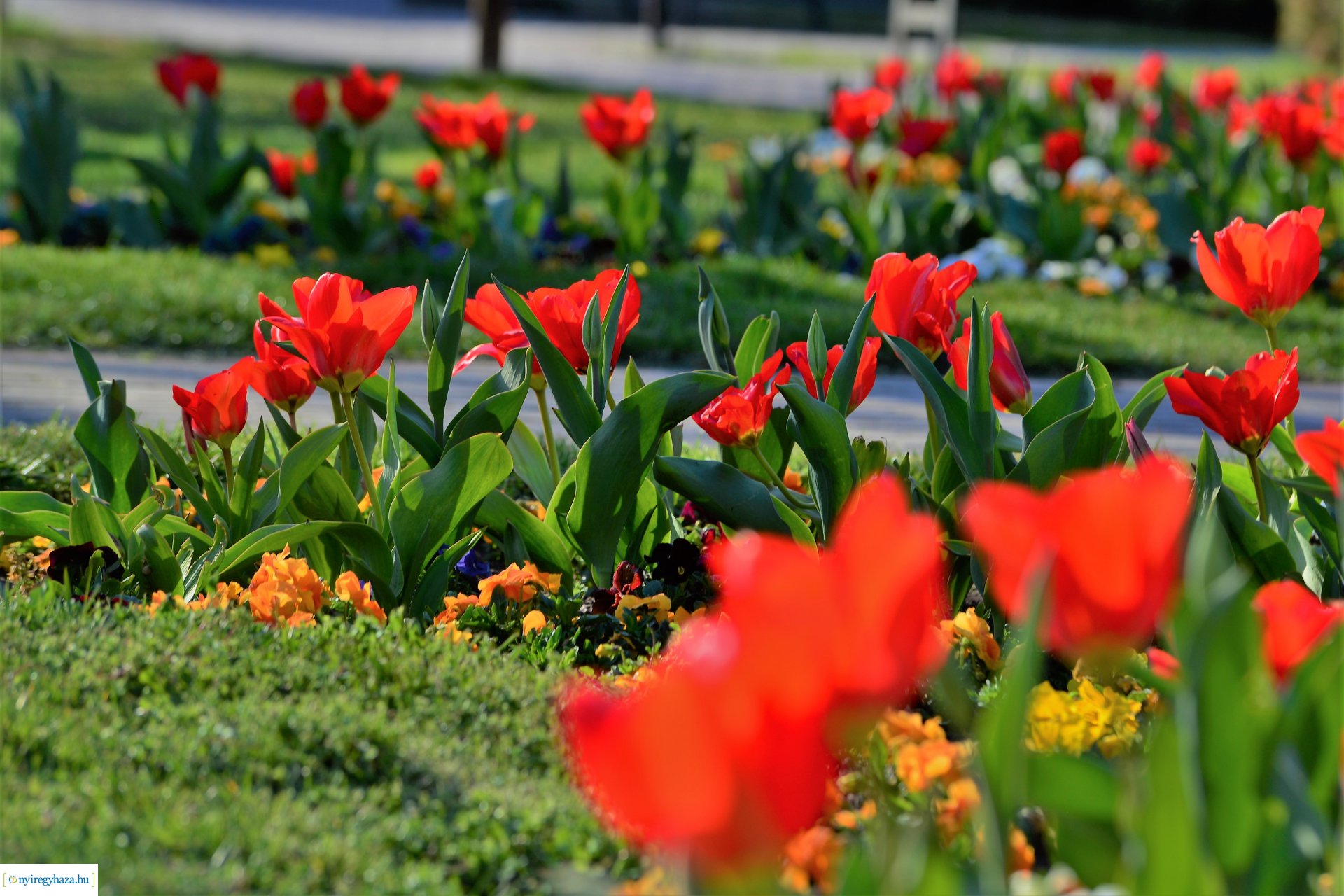 Belvárosi szombat délután