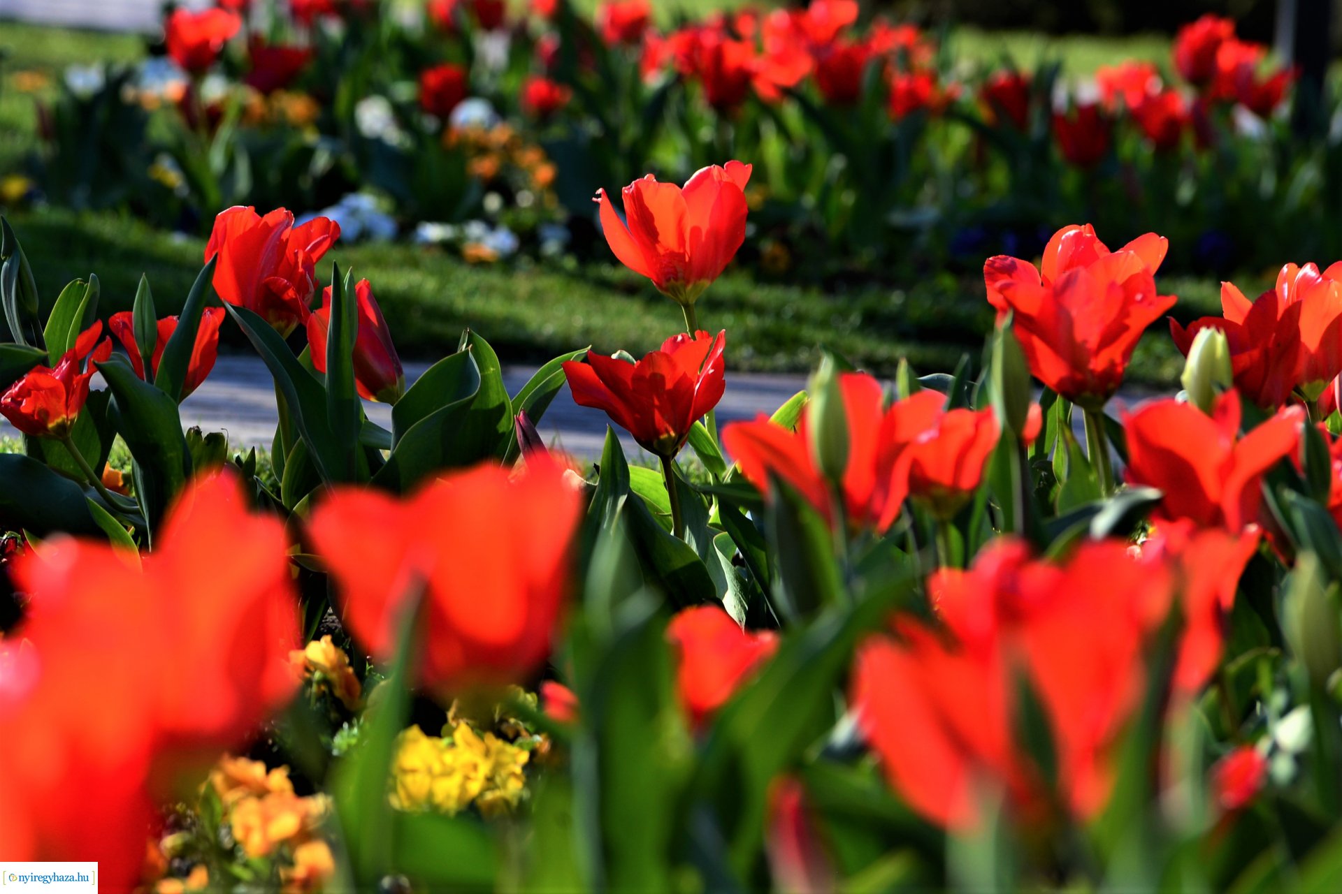 Belvárosi szombat délután