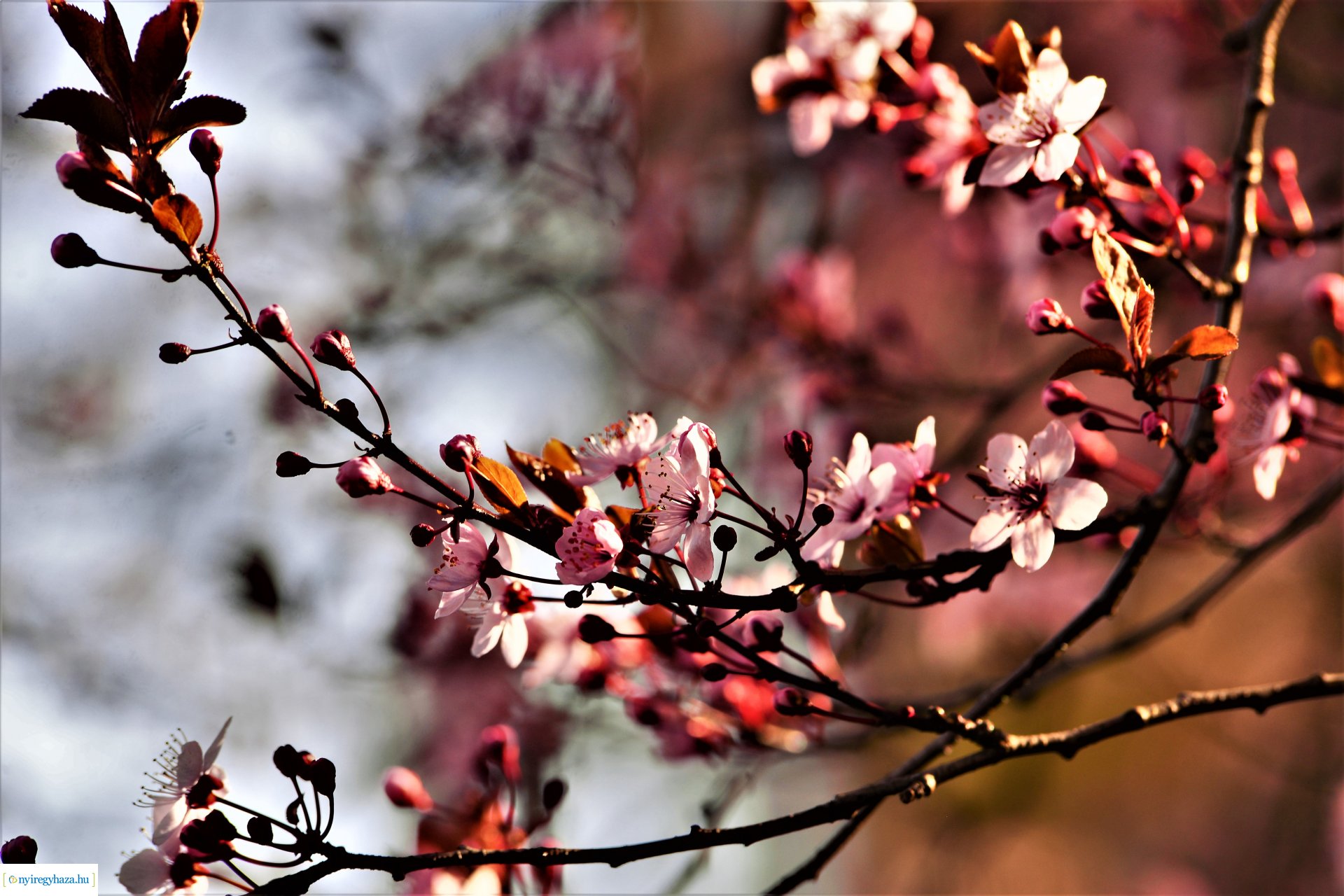 Belvárosi szombat délután