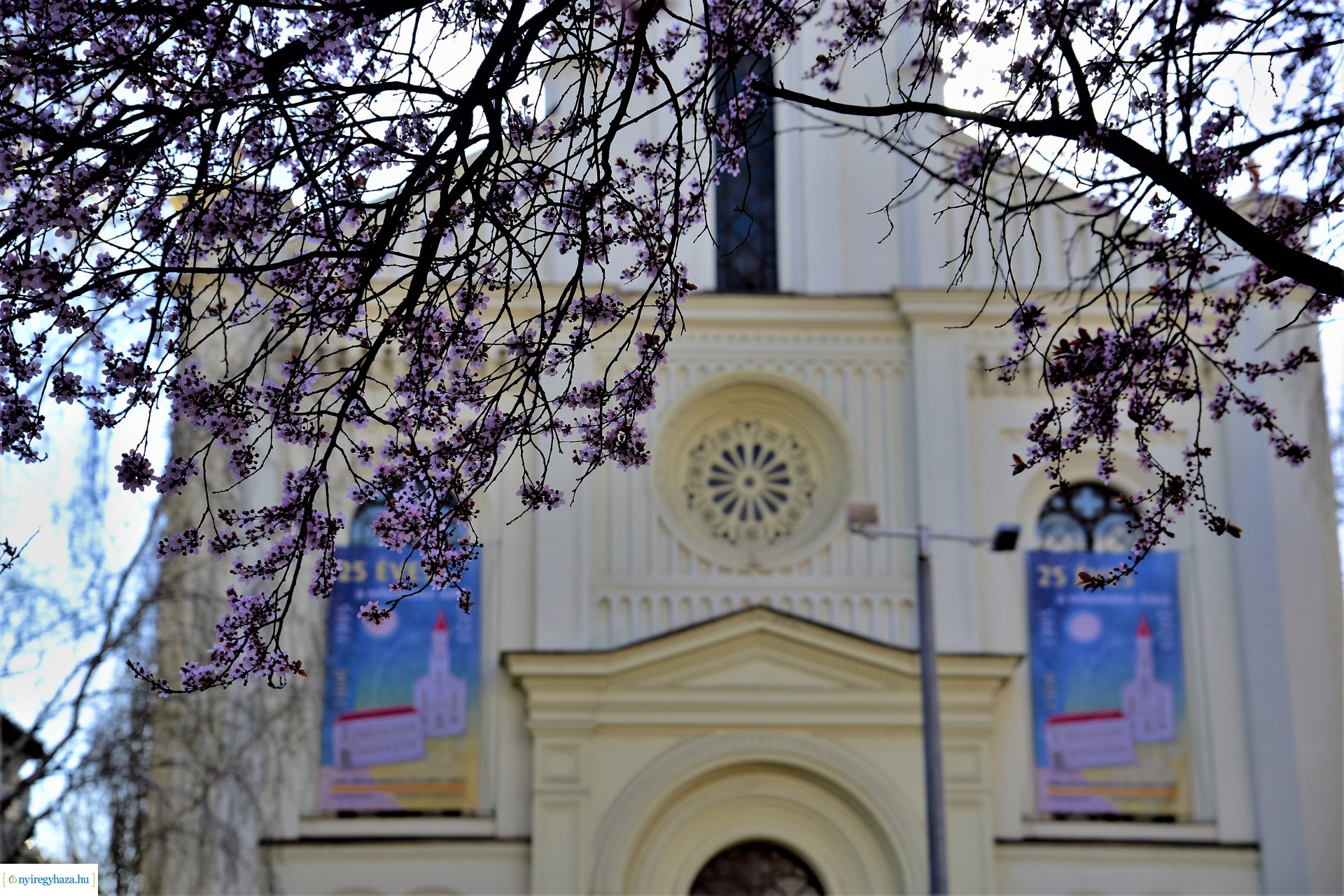 Belvárosi szombat délután