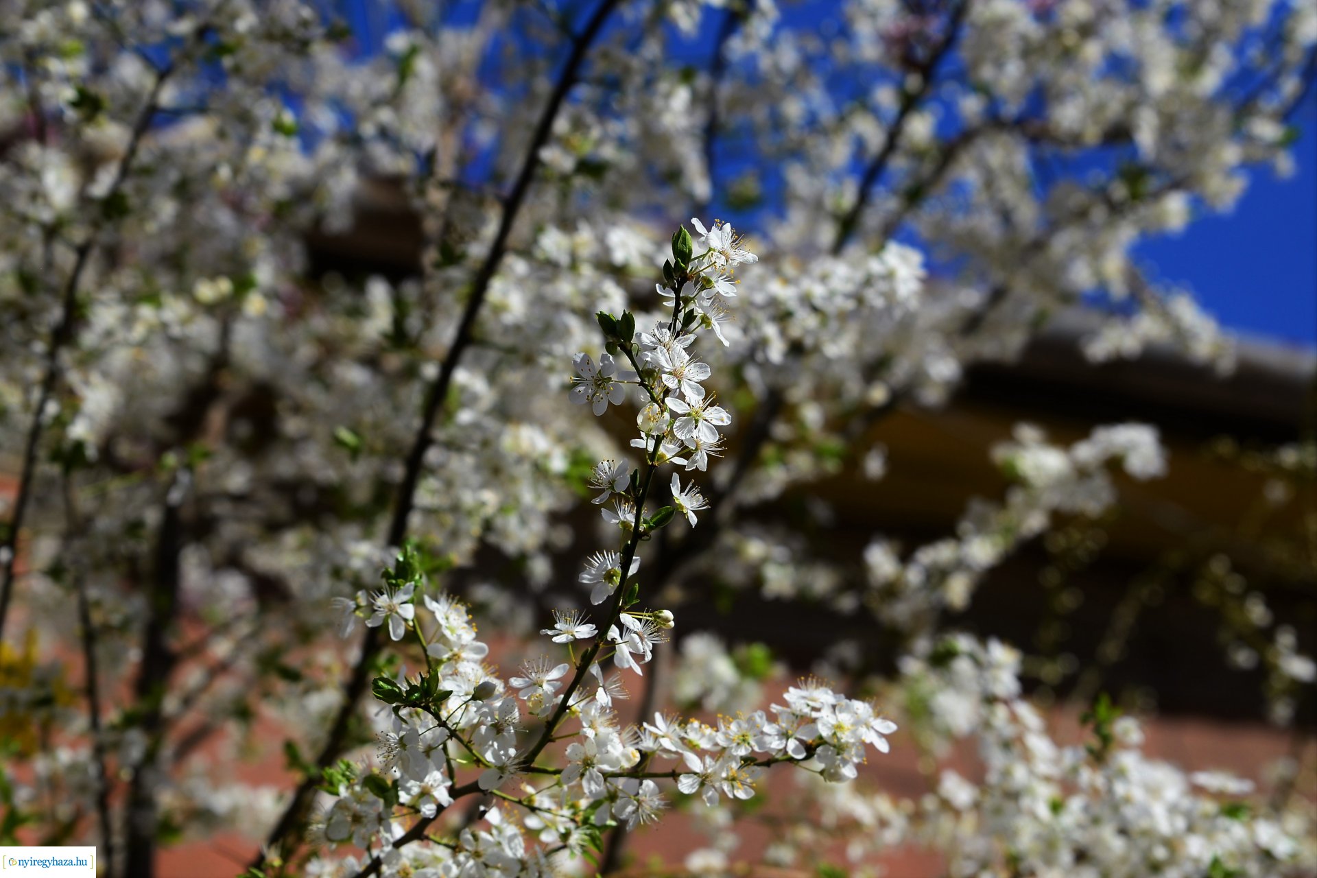 Belvárosi szombat délután
