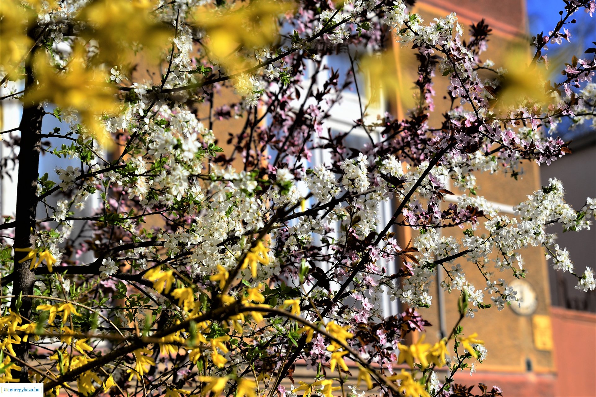 Belvárosi szombat délután