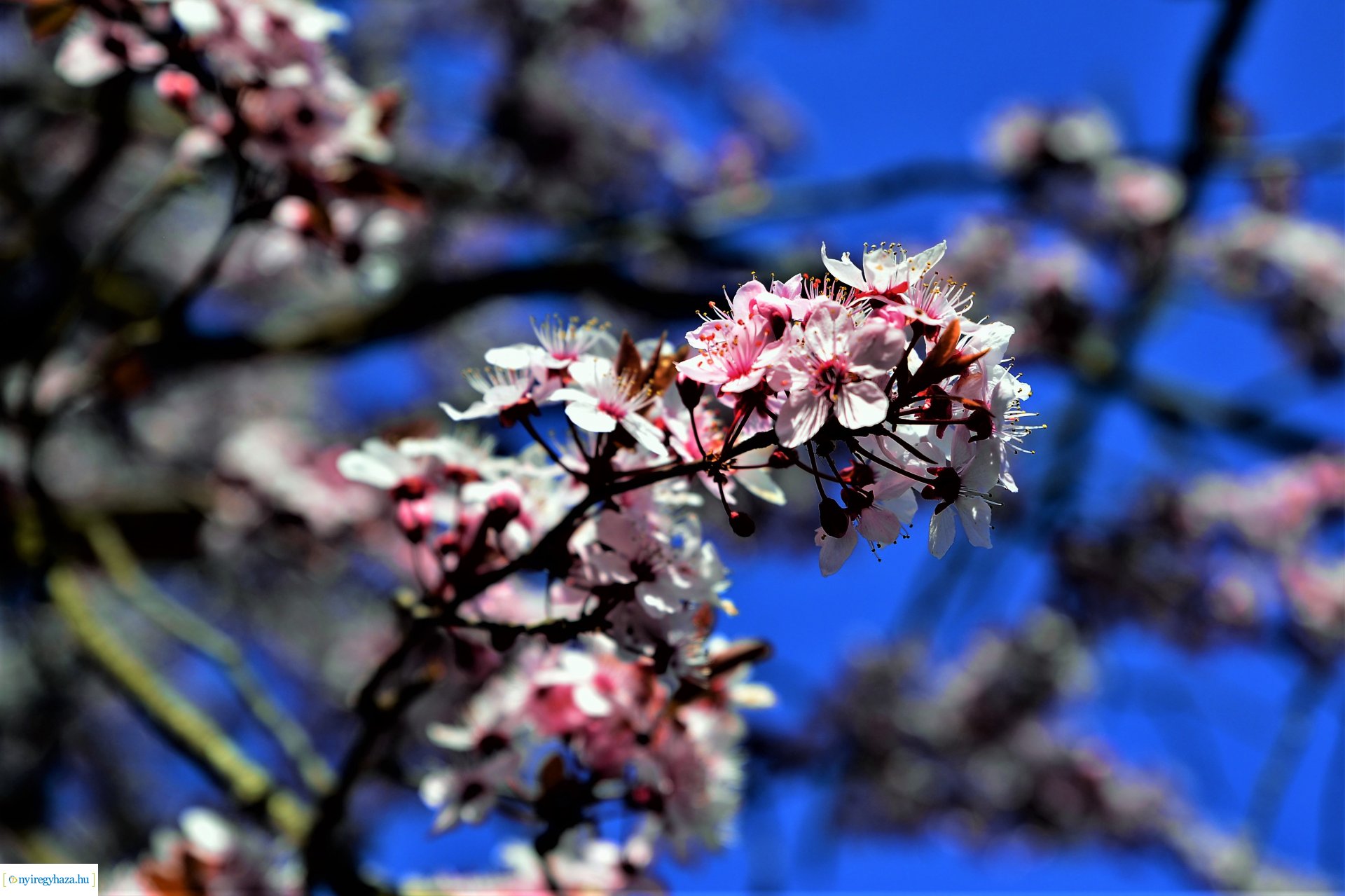 Belvárosi szombat délután