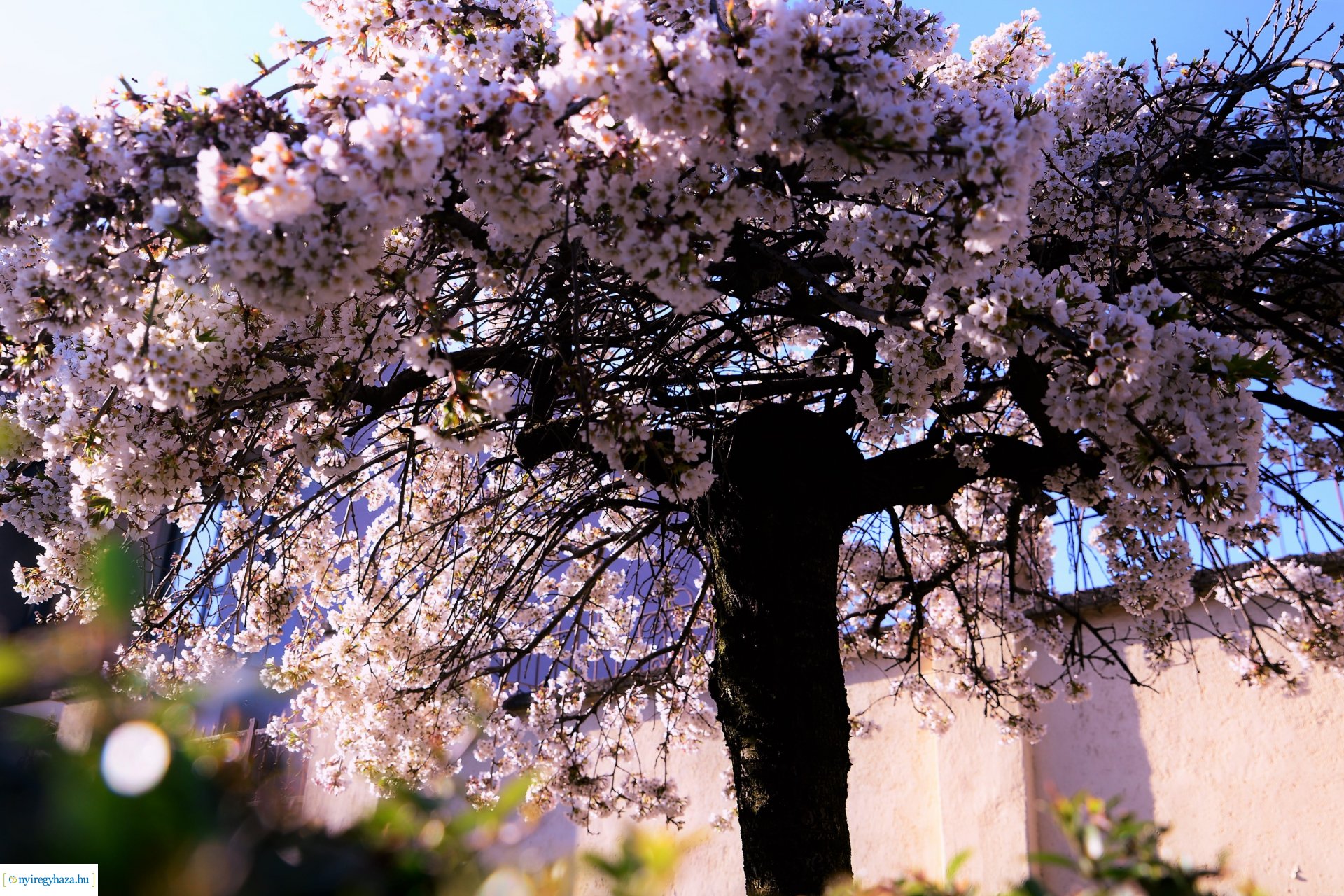 Belvárosi szombat délután