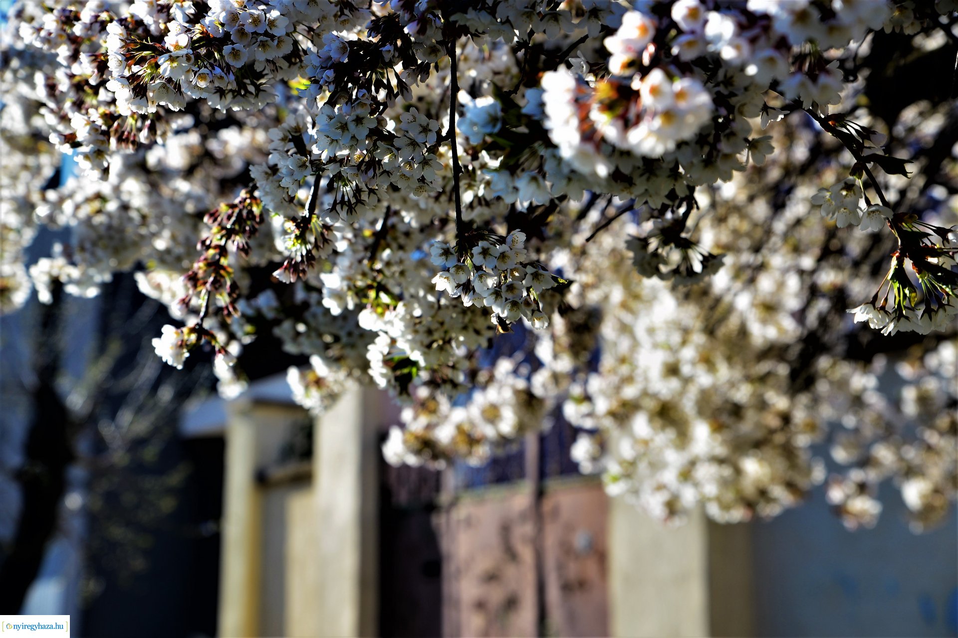 Belvárosi szombat délután