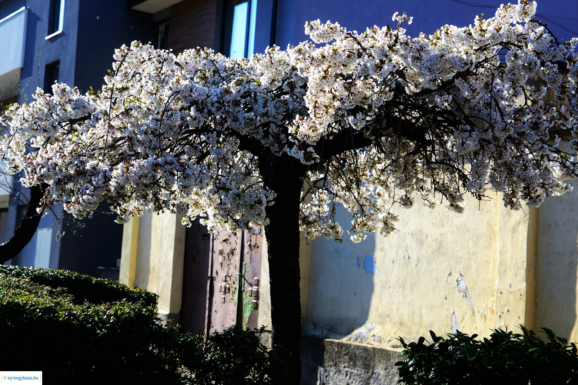 Belvárosi szombat délután
