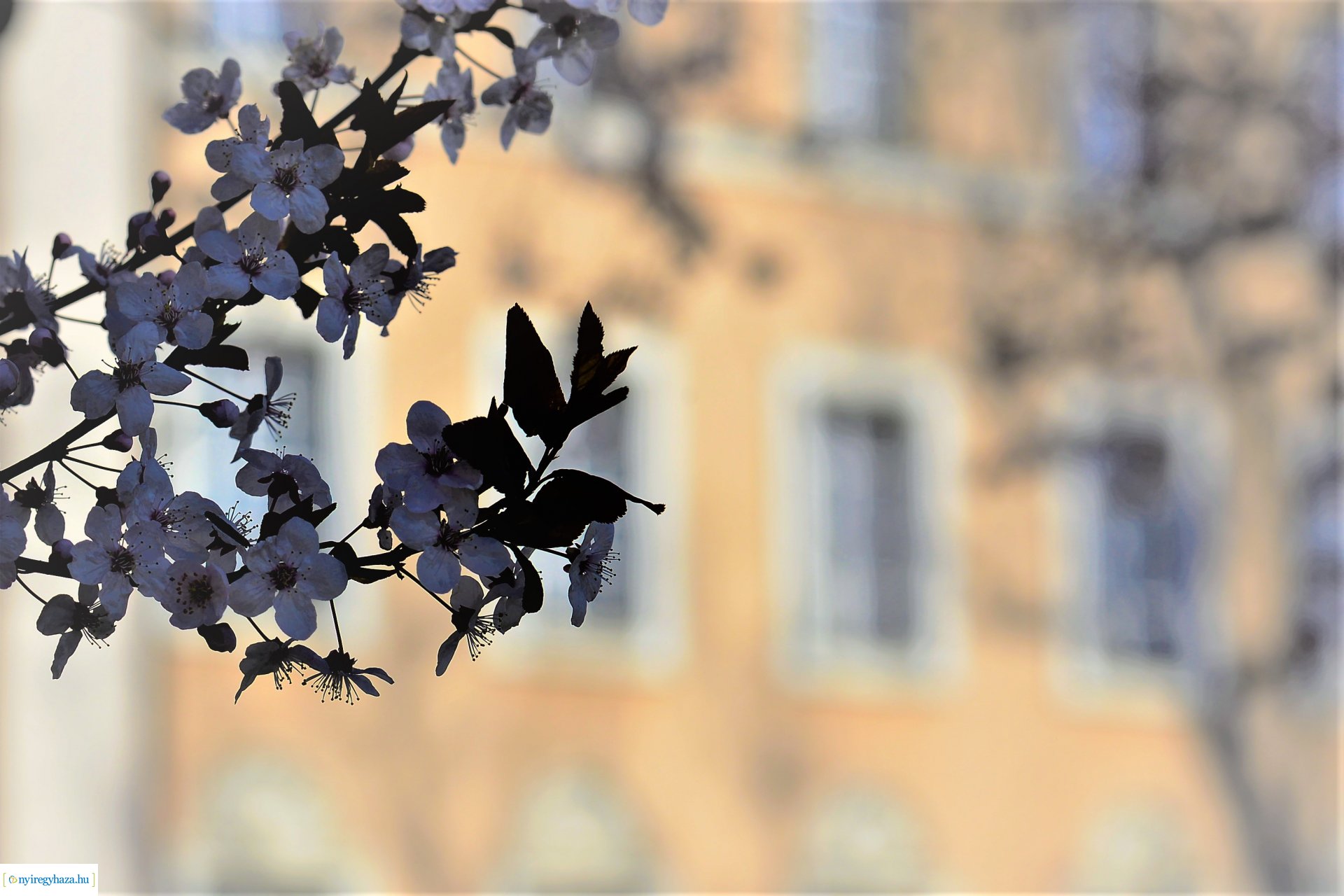 Belvárosi szombat délután