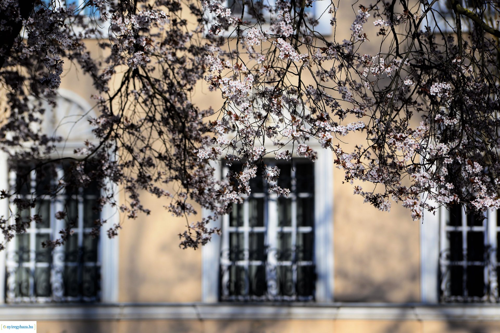 Belvárosi szombat délután