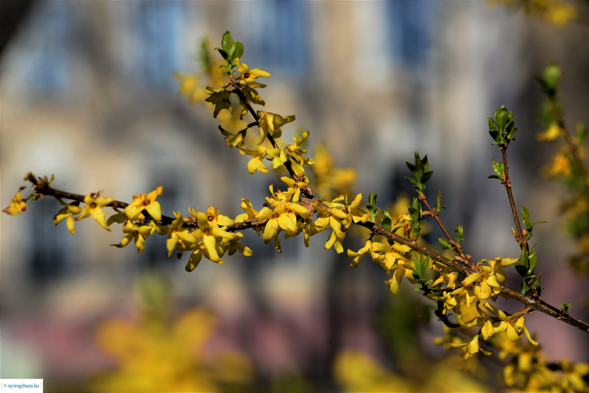 Belvárosi szombat délután