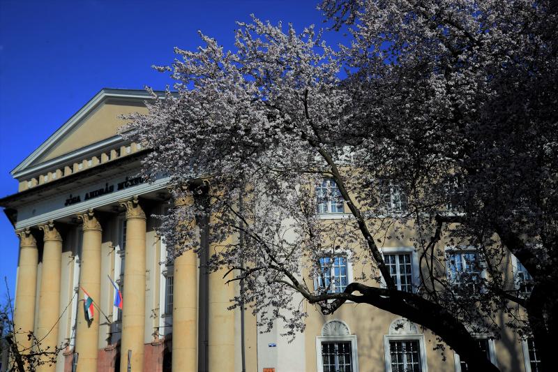 Belvárosi szombat délután