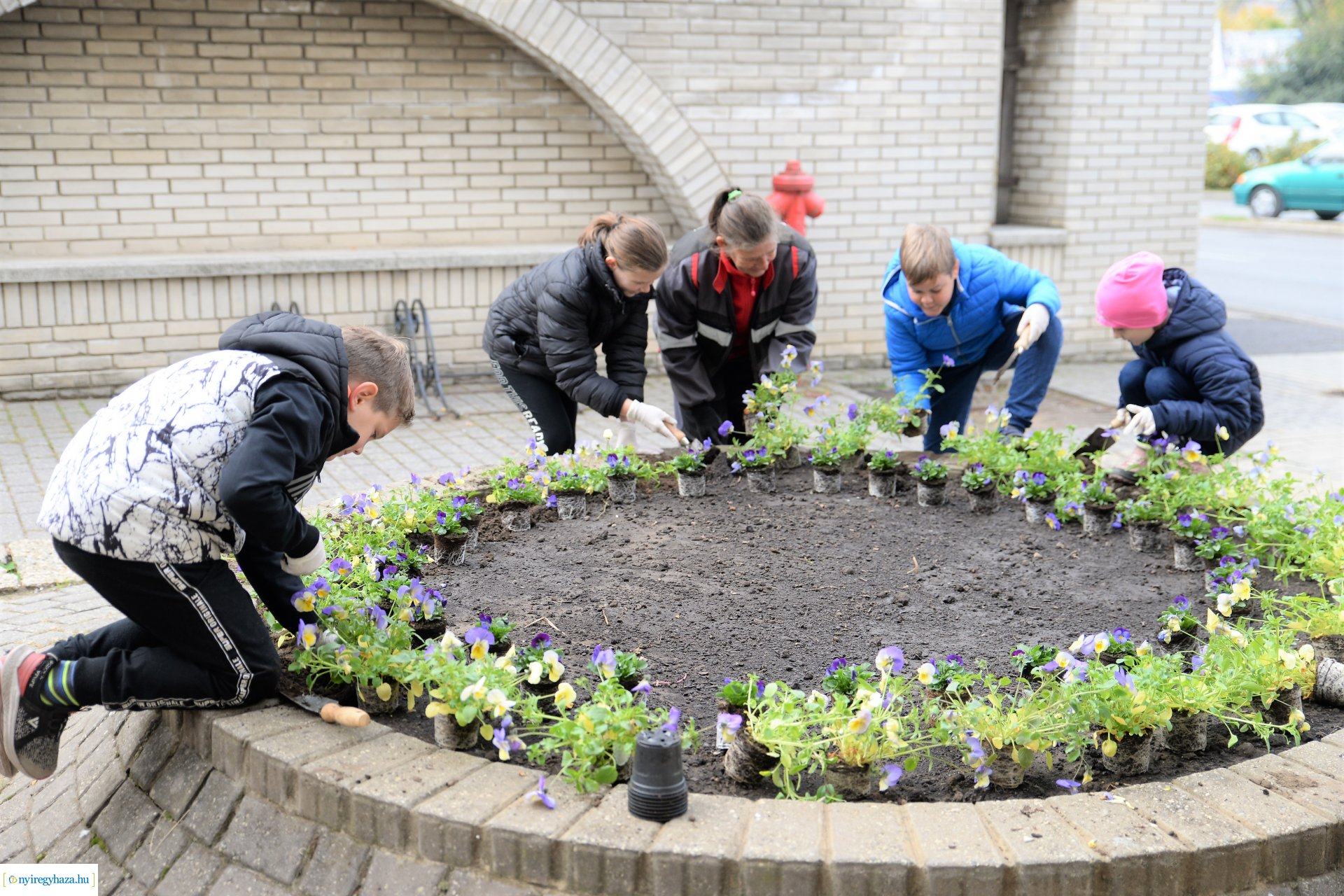 Belvárosi virágültetés az ÖKOsuli keretében