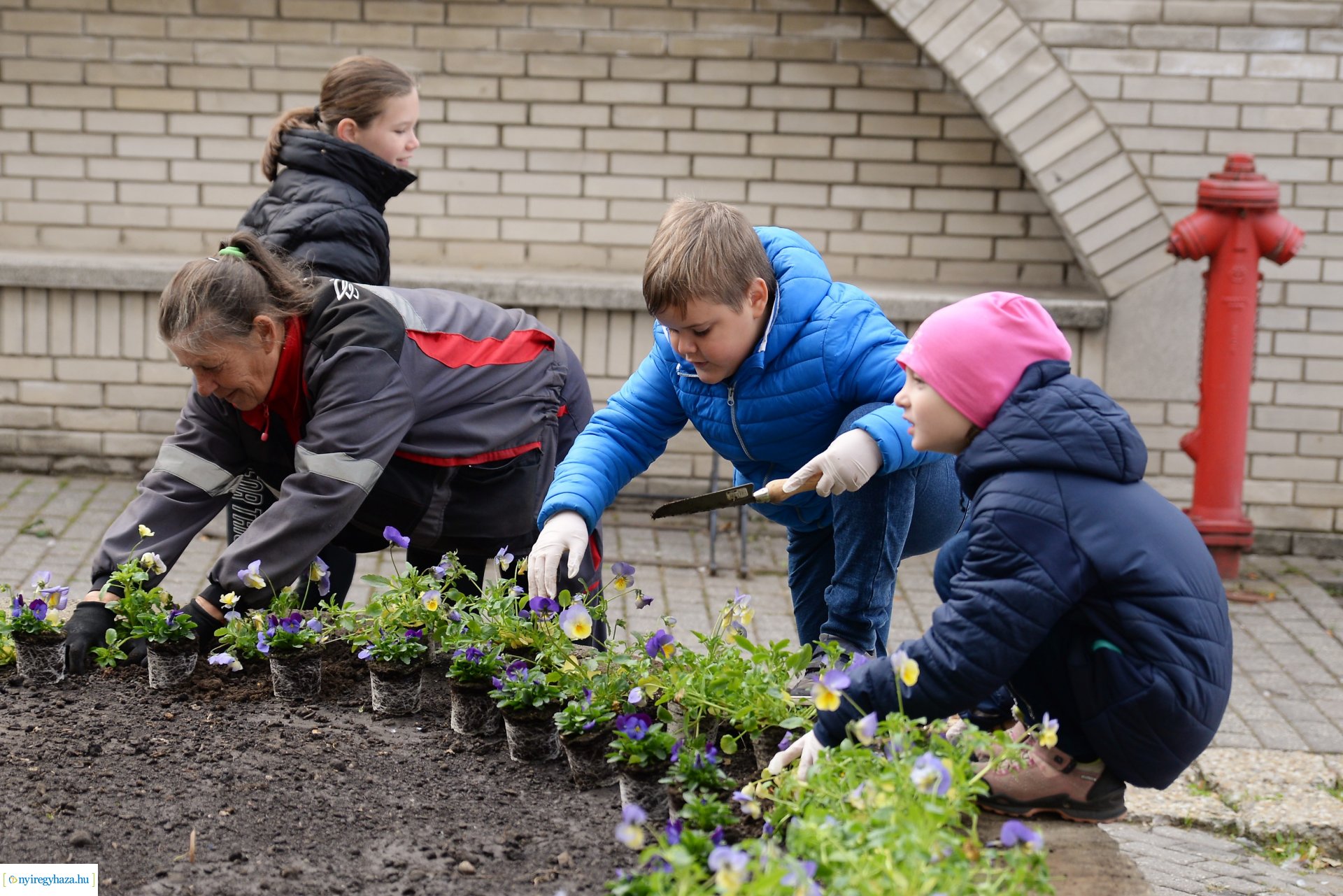 Belvárosi virágültetés az ÖKOsuli keretében