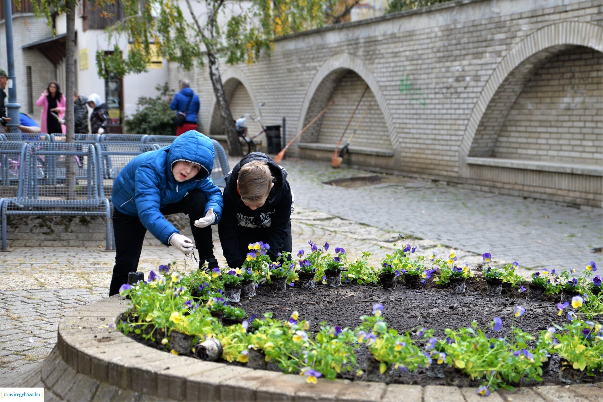 Belvárosi virágültetés az ÖKOsuli keretében
