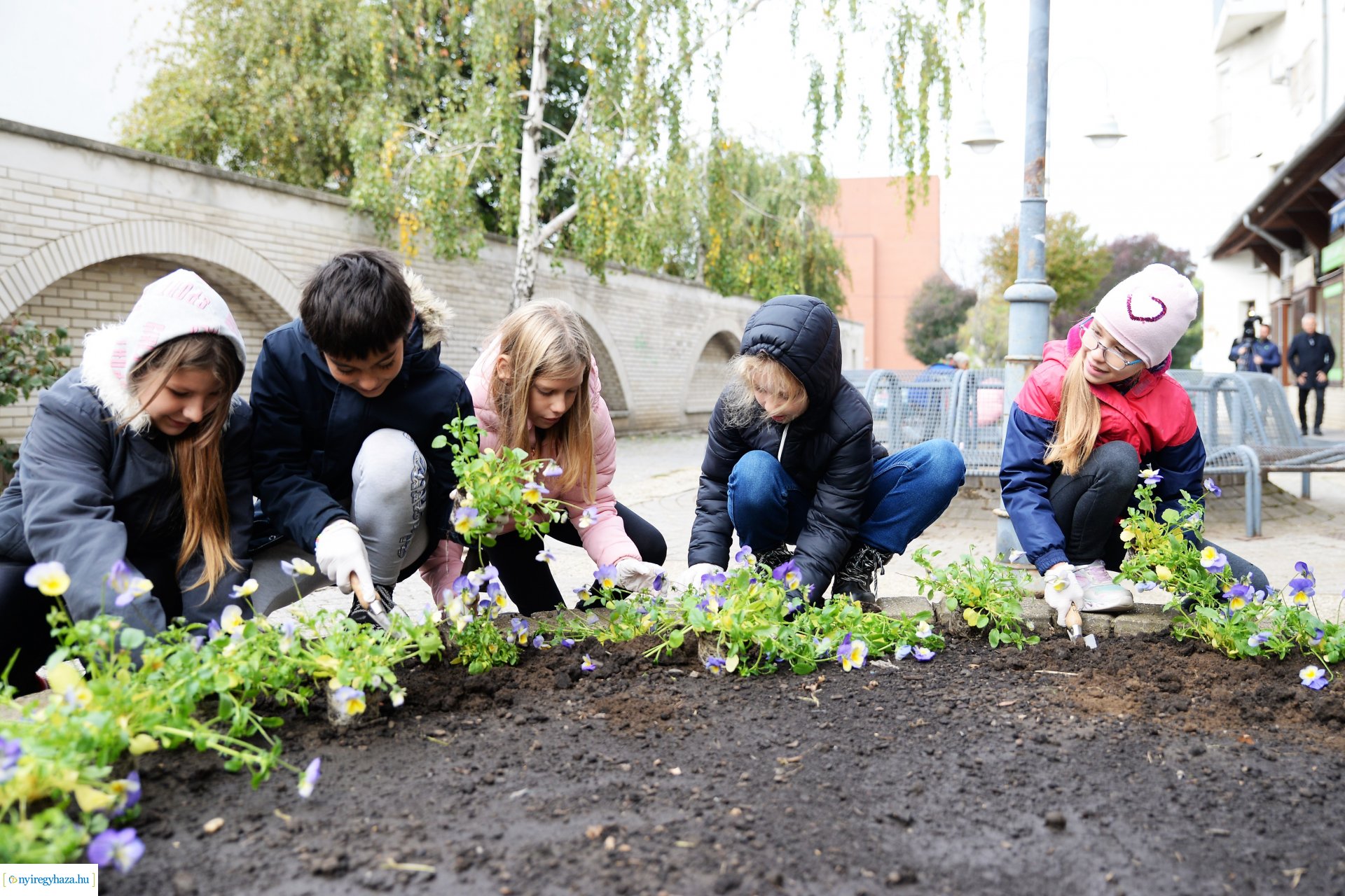 Belvárosi virágültetés az ÖKOsuli keretében