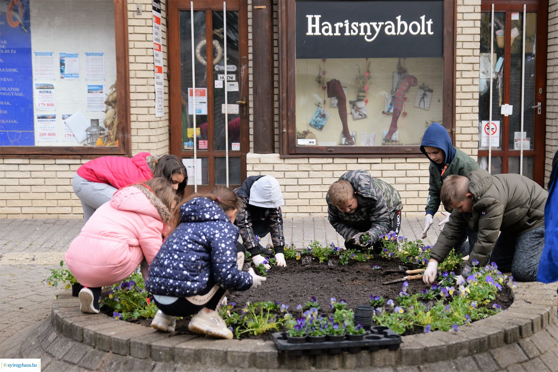 Belvárosi virágültetés az ÖKOsuli keretében