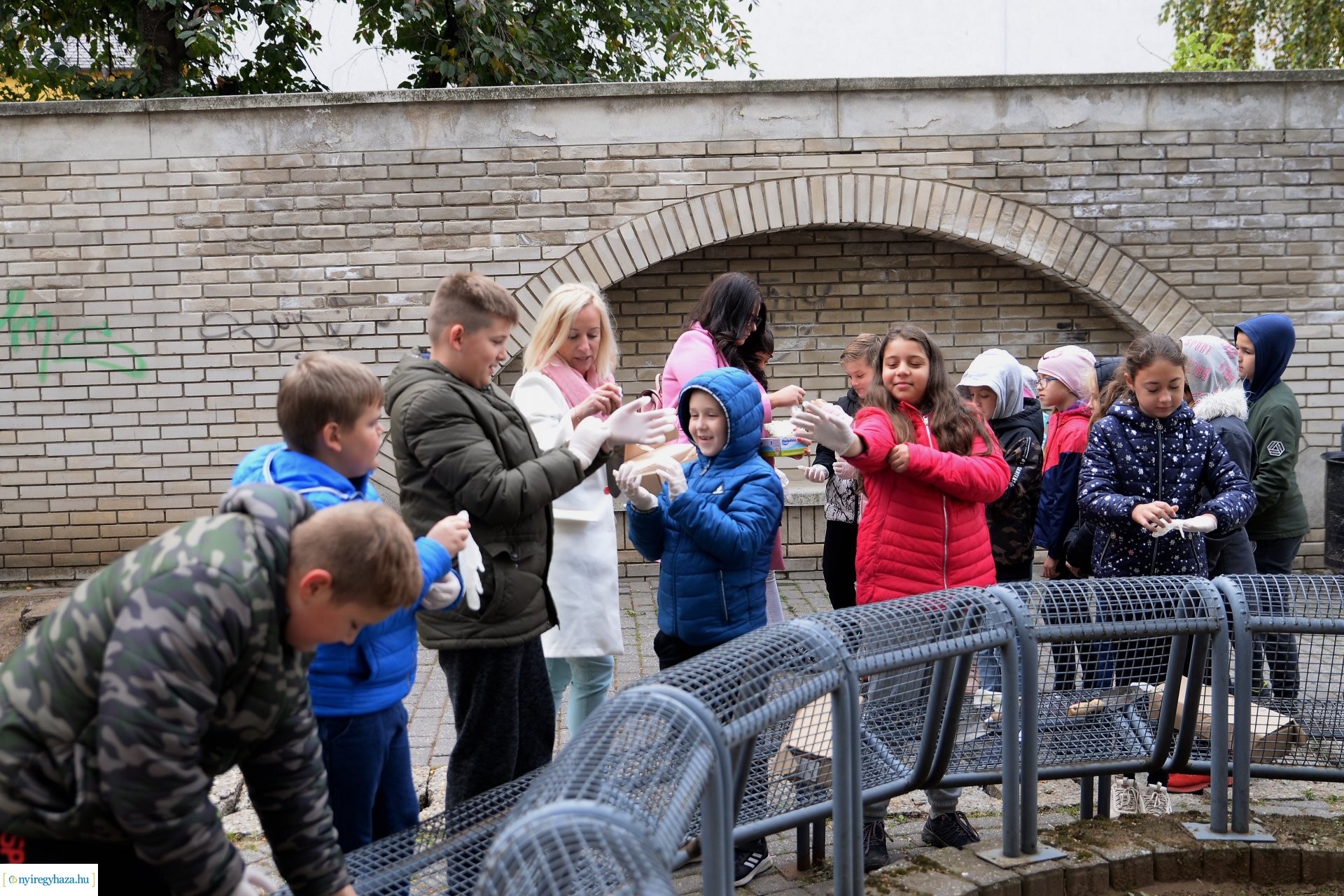 Belvárosi virágültetés az ÖKOsuli keretében