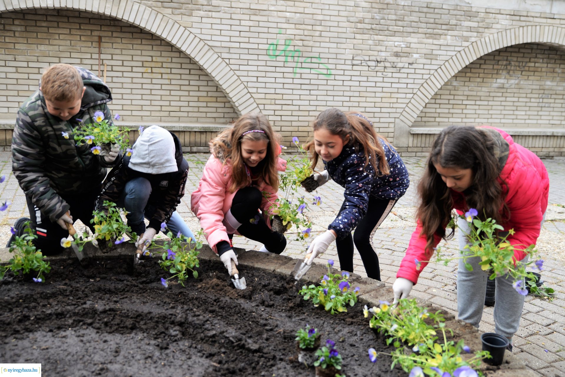 Belvárosi virágültetés az ÖKOsuli keretében