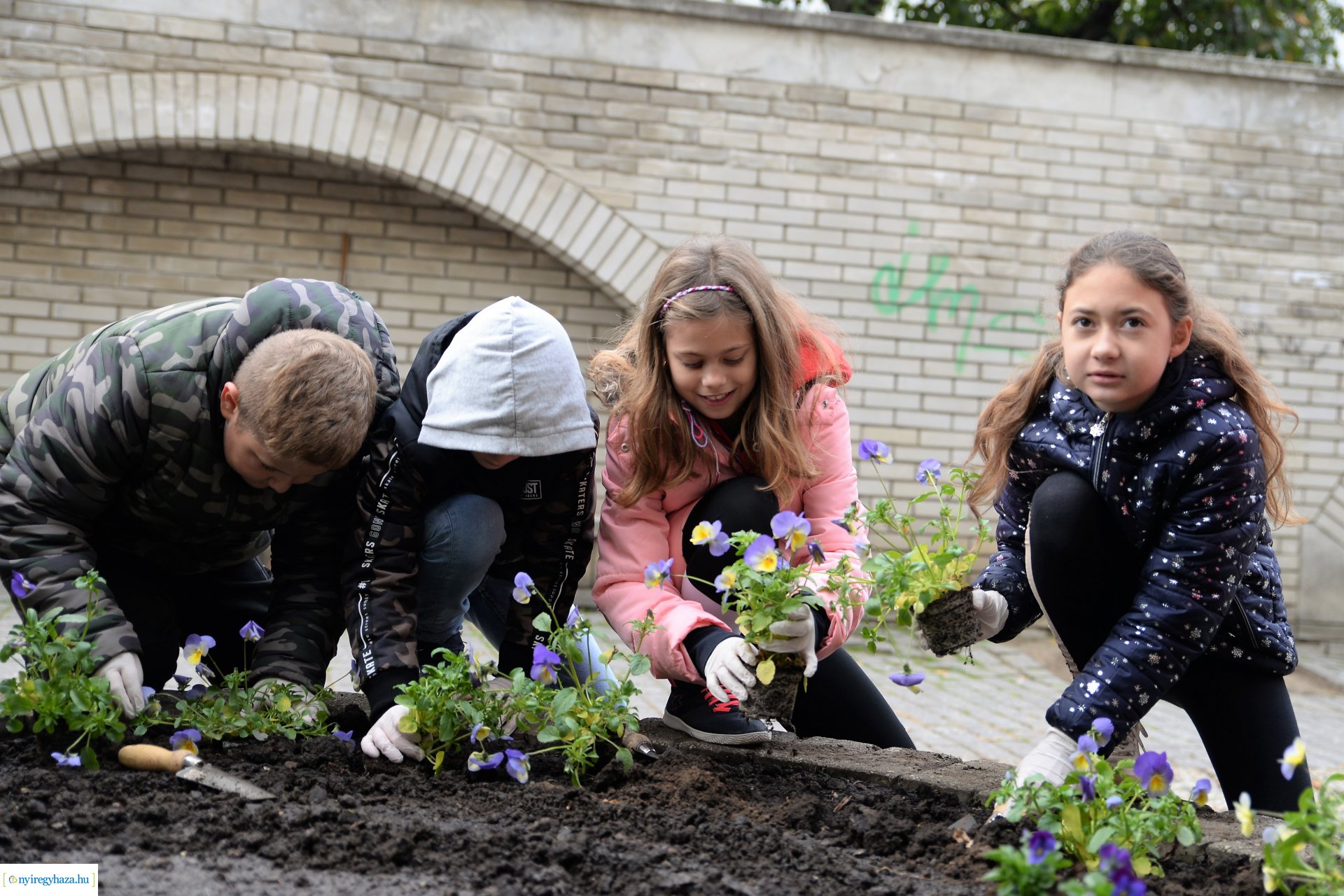 Belvárosi virágültetés az ÖKOsuli keretében