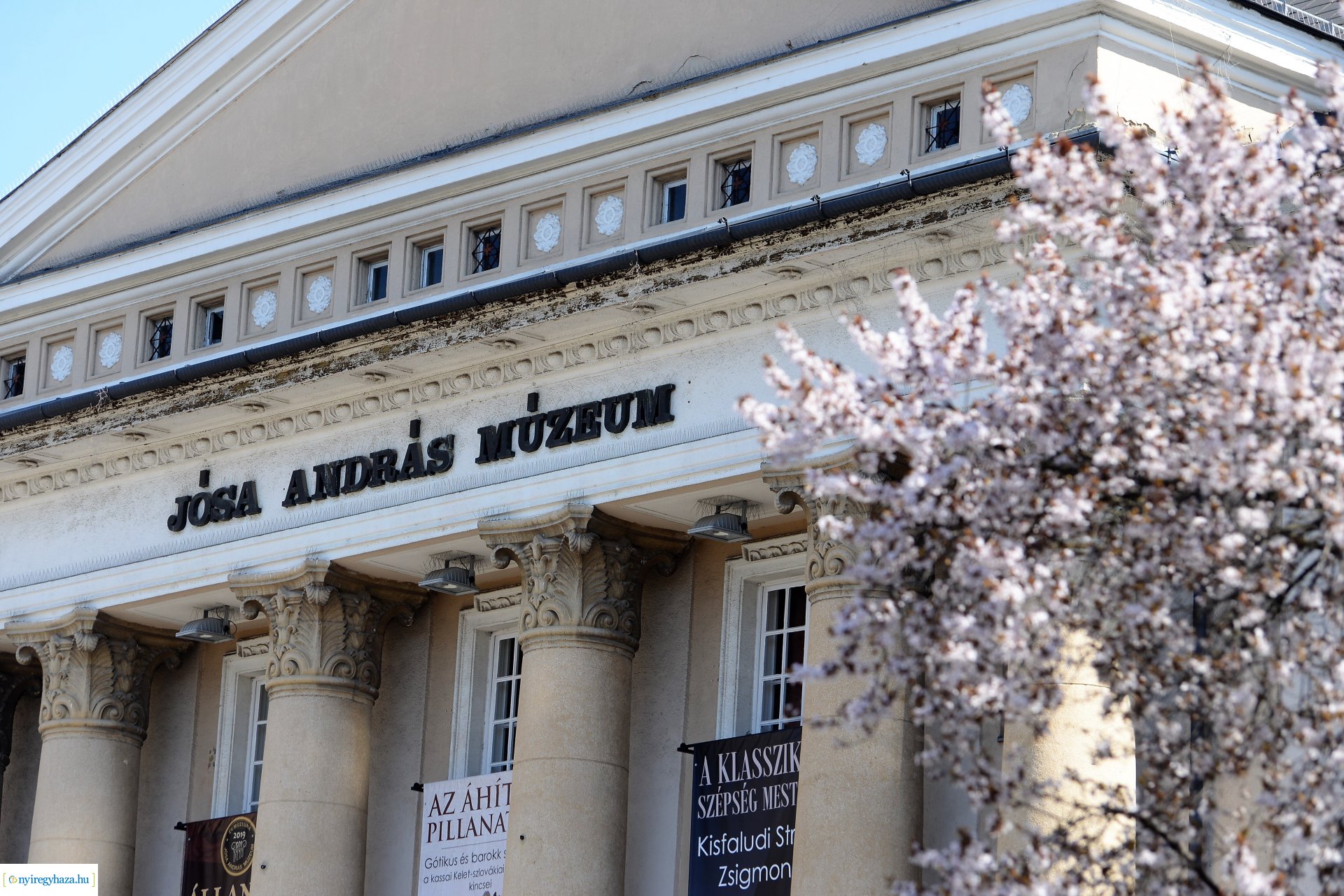 Belvárosunk tavaszi virágai
